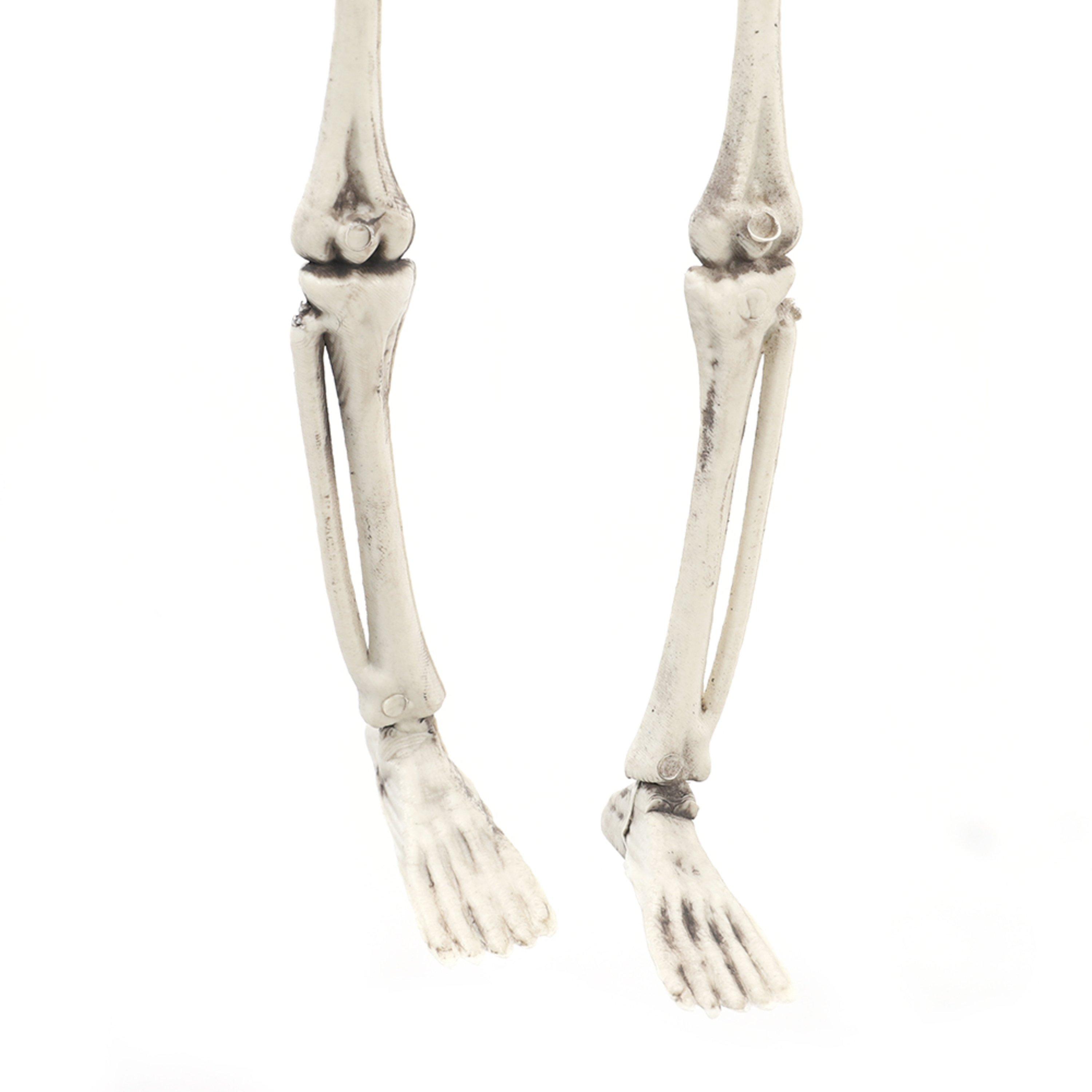 Distressed Whit - LIFE IDEAS - Realistic Posable Hanging Skeleton for Halloween - 13