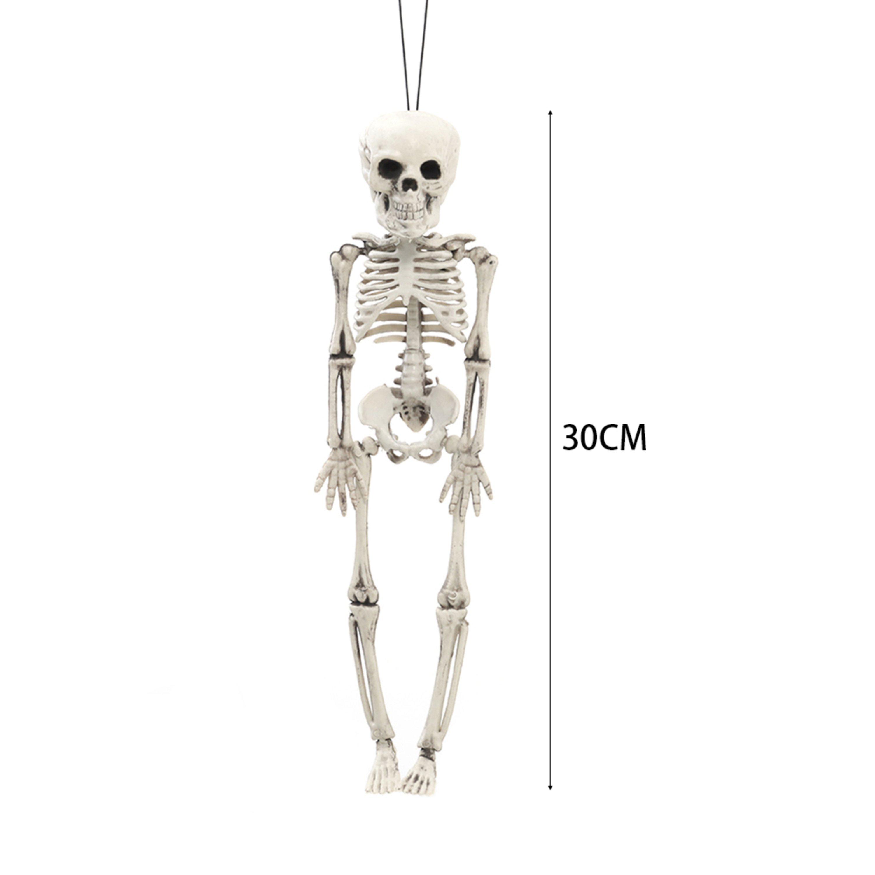 Distressed Whit - LIFE IDEAS - Realistic Posable Hanging Skeleton for Halloween - 3