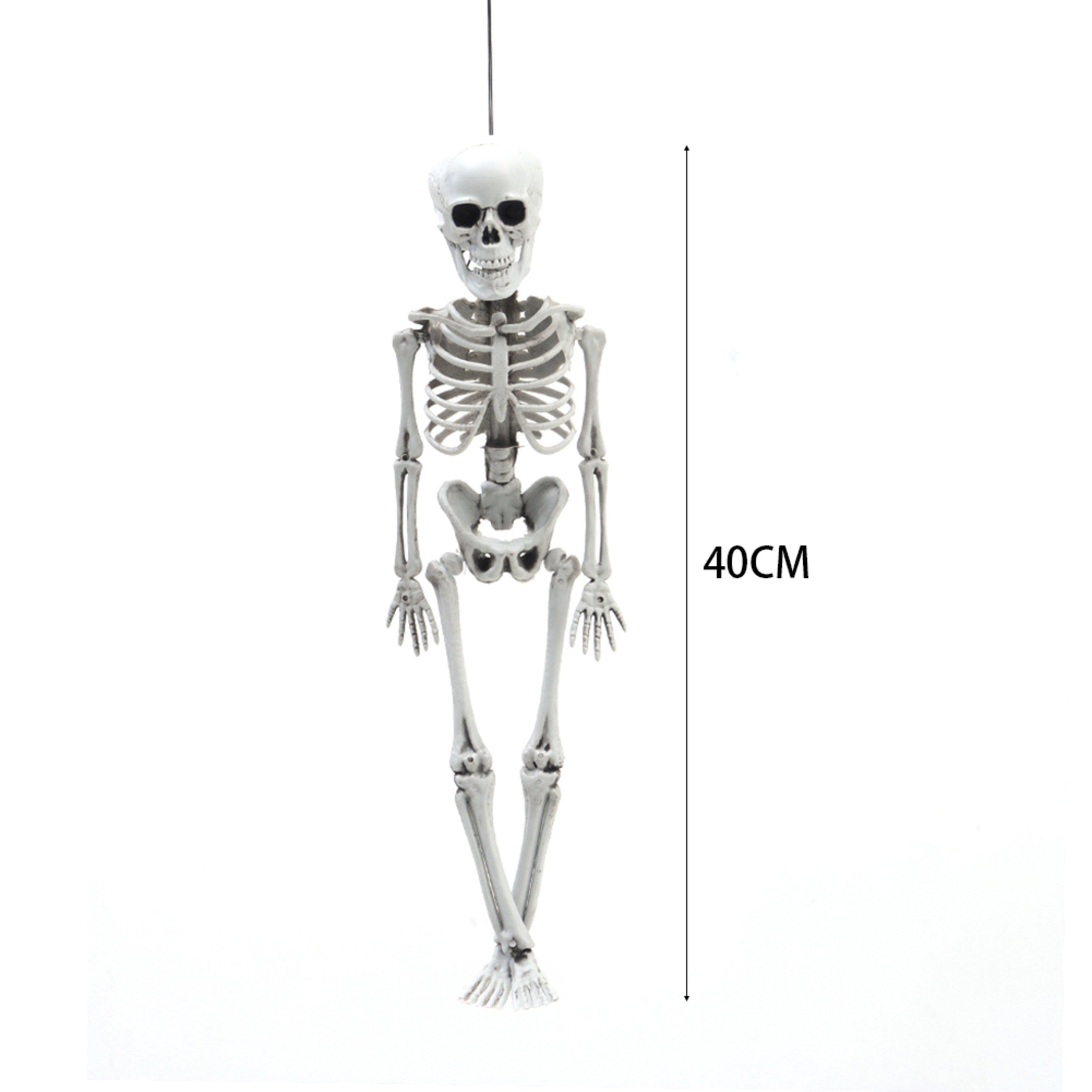 Distressed Whit - LIFE IDEAS - Realistic Posable Hanging Skeleton for Halloween - 4