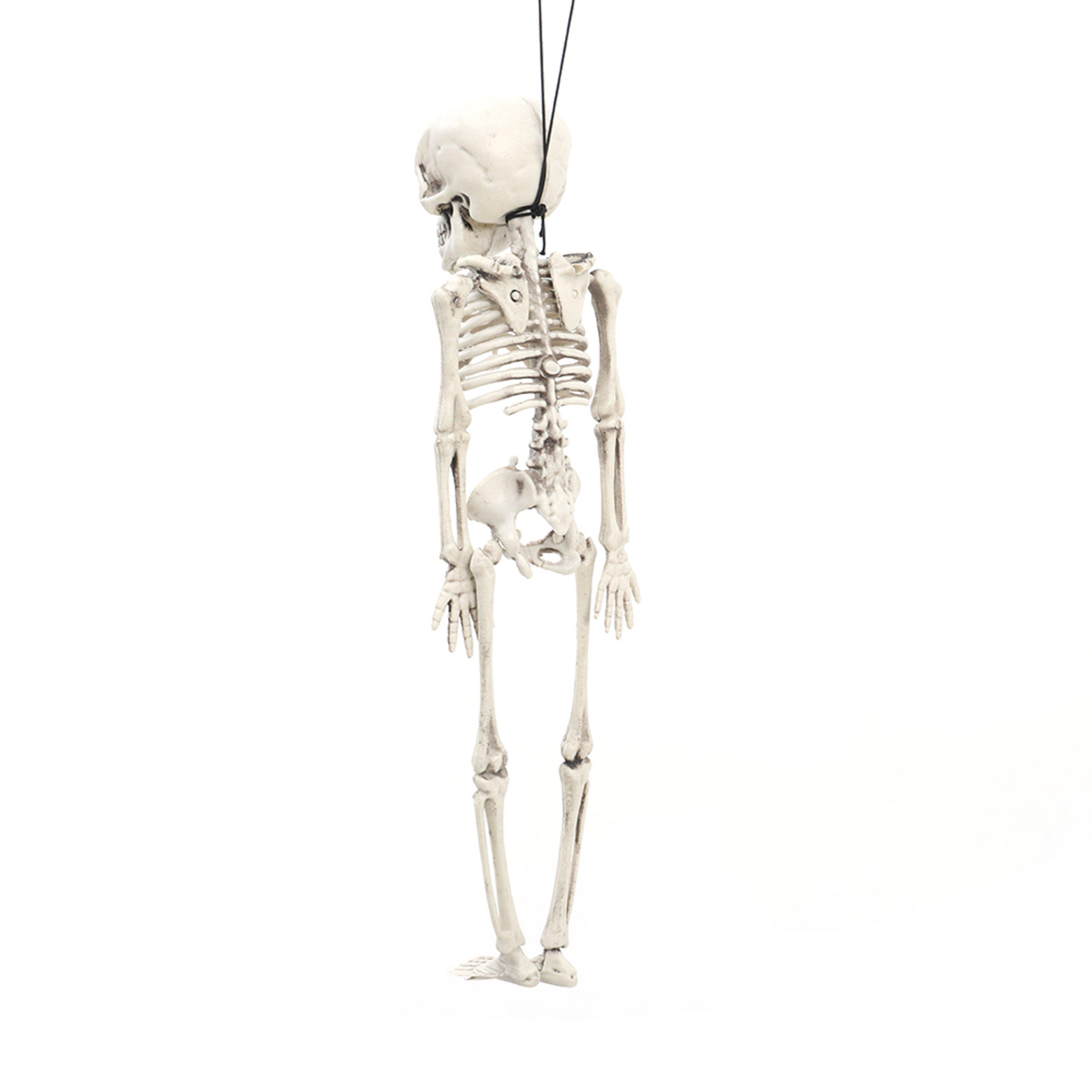 Distressed Whit - LIFE IDEAS - Realistic Posable Hanging Skeleton for Halloween - 7