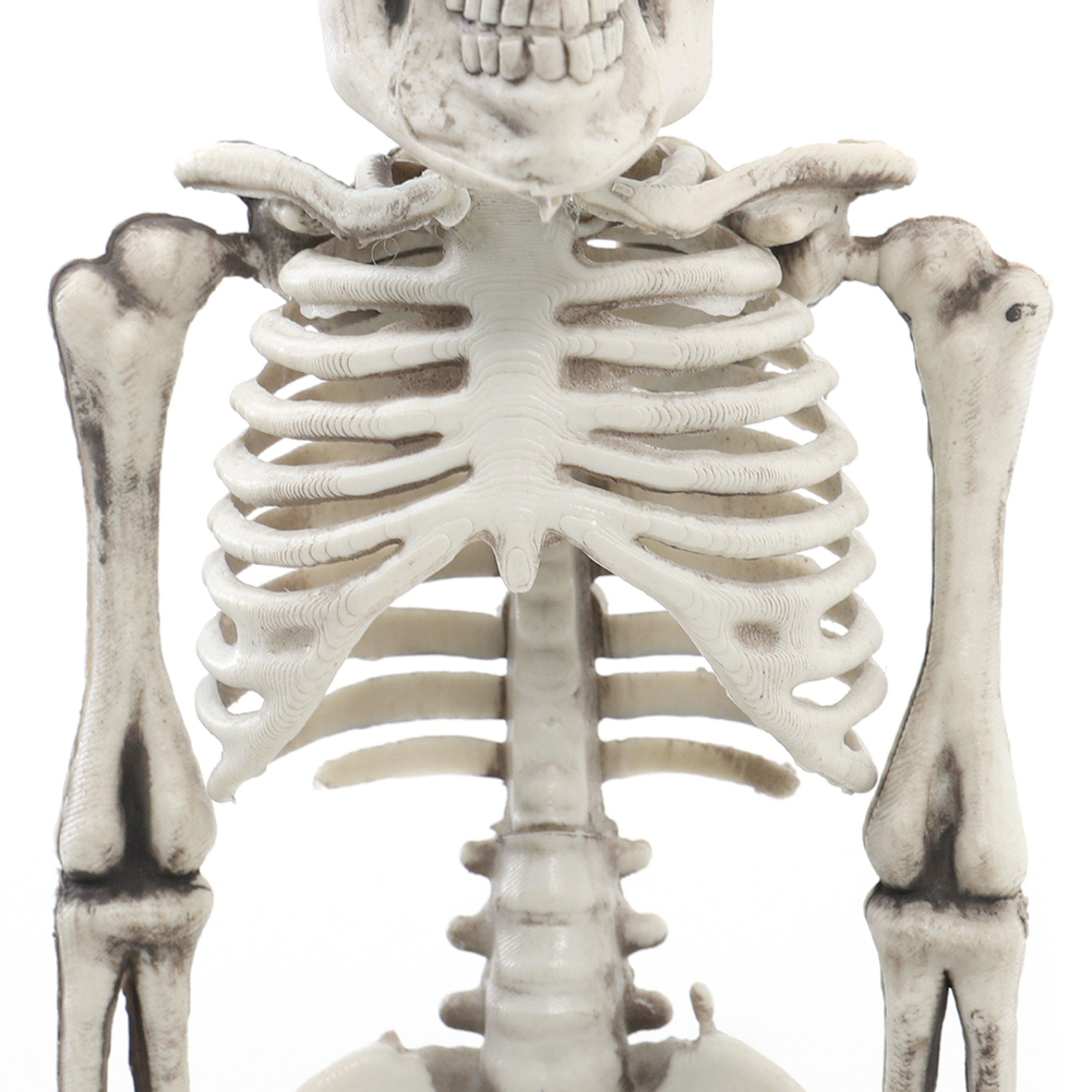 Distressed Whit - LIFE IDEAS - Realistic Posable Hanging Skeleton for Halloween - 8