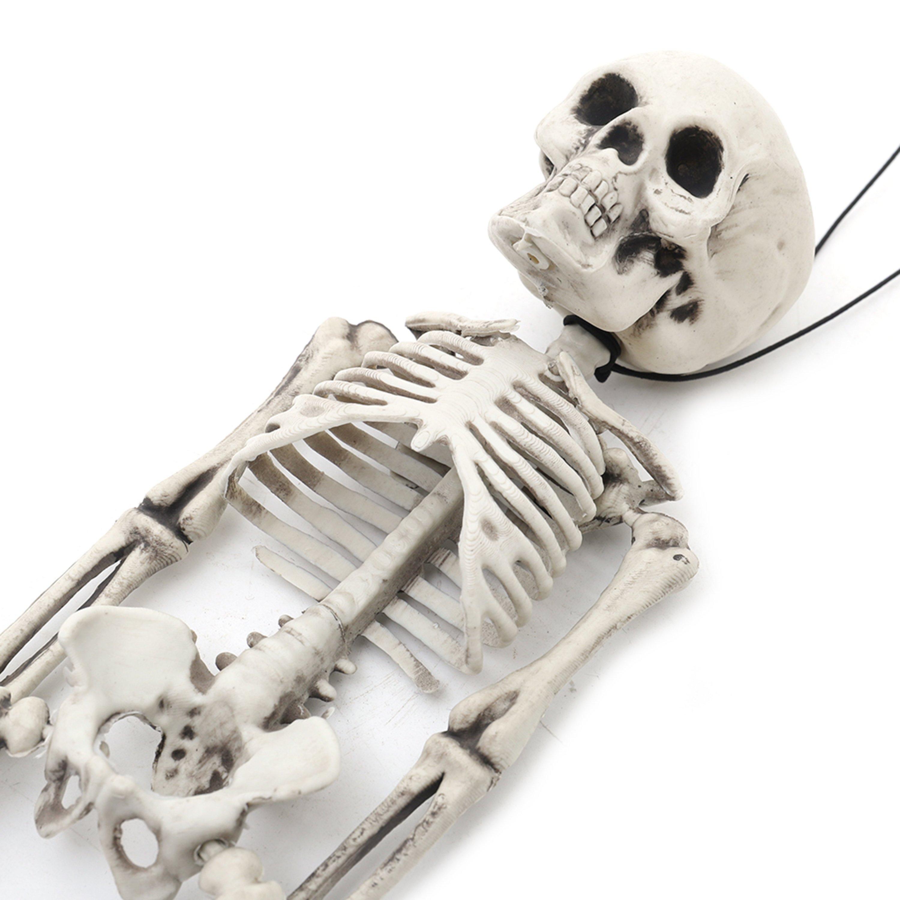 Distressed Whit - LIFE IDEAS - Realistic Posable Hanging Skeleton for Halloween - 9