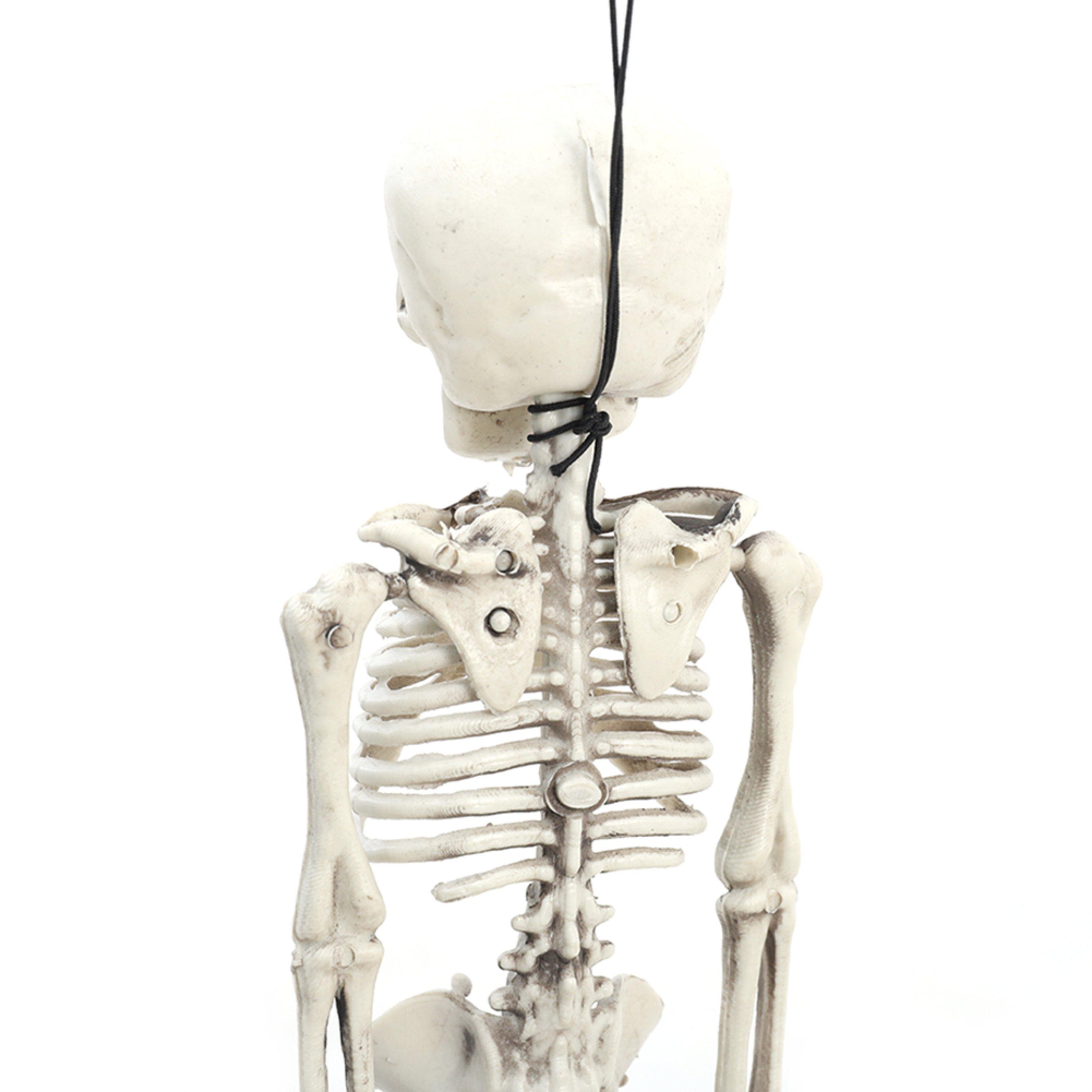 Distressed Whit - LIFE IDEAS - Realistic Posable Hanging Skeleton for Halloween - 10