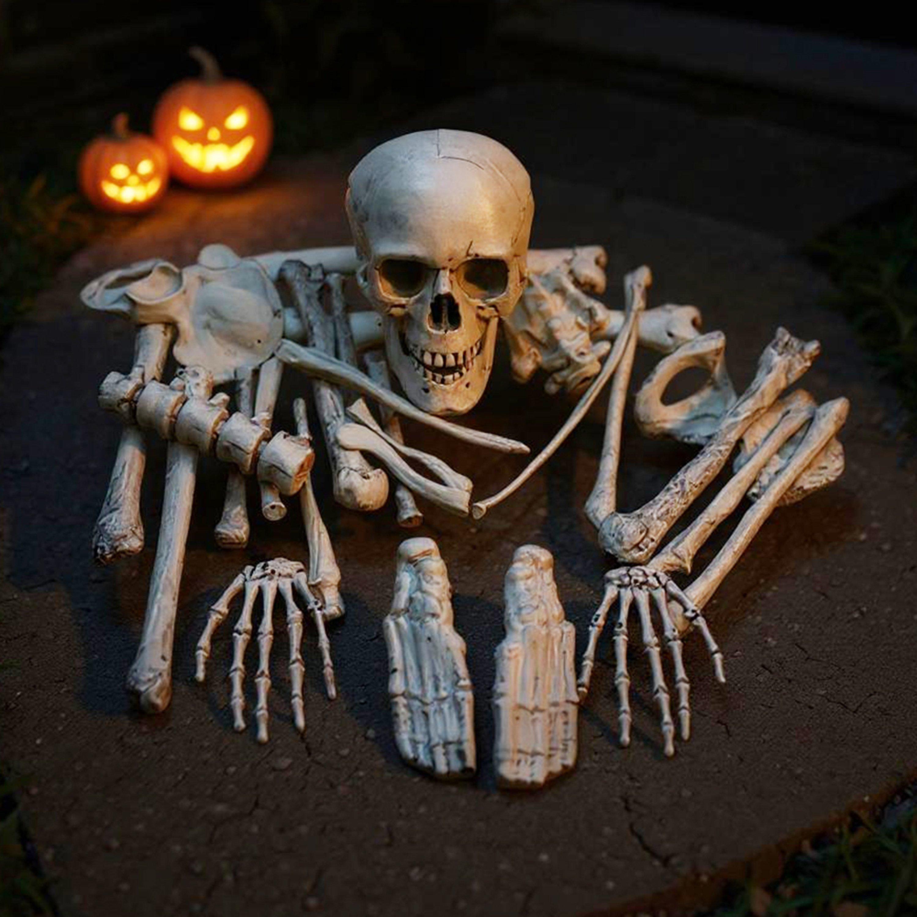 White - LIFE IDEAS - Realistic Skull and Bone Skeleton Decoration Kit - 1