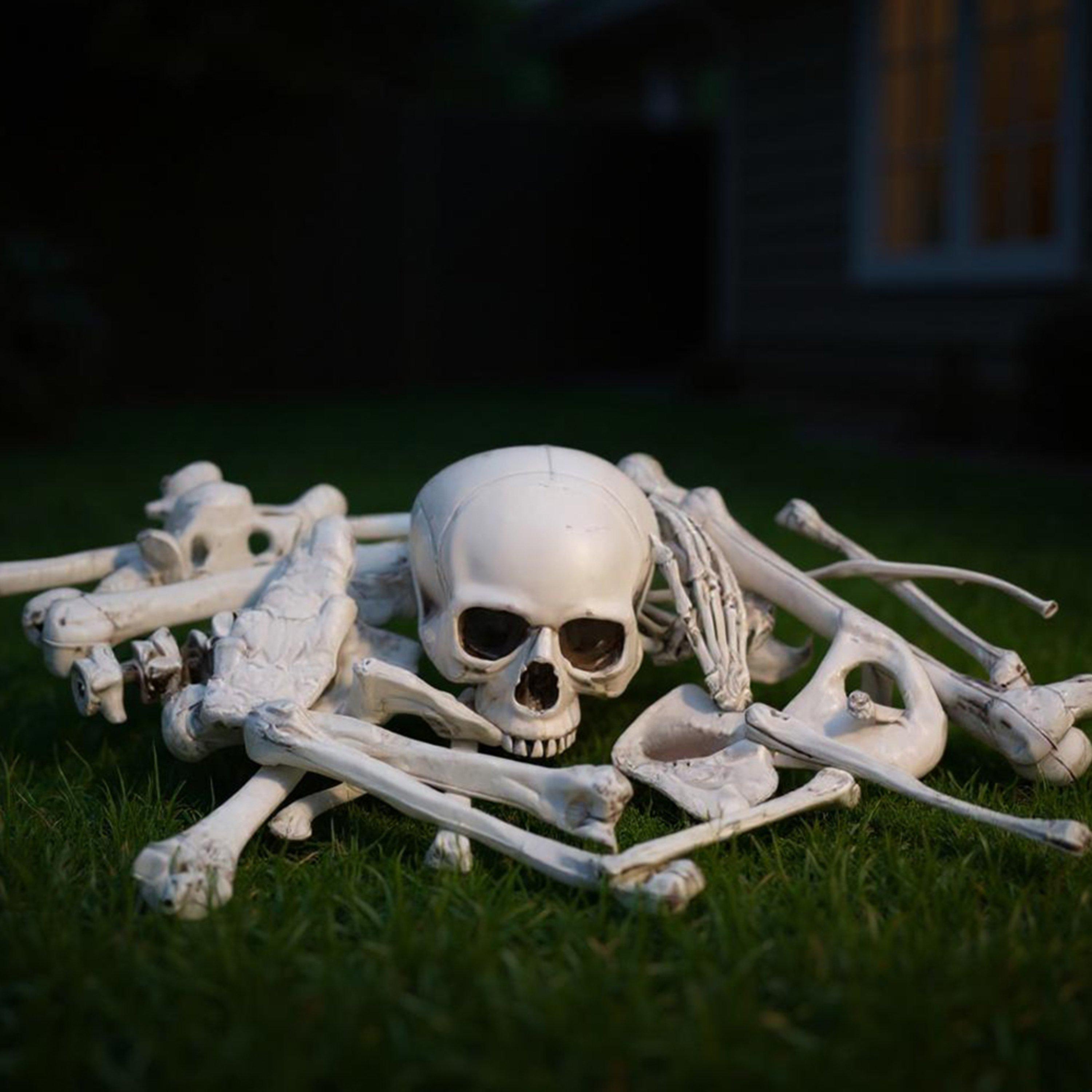 White - LIFE IDEAS - Realistic Skull and Bone Skeleton Decoration Kit - 2