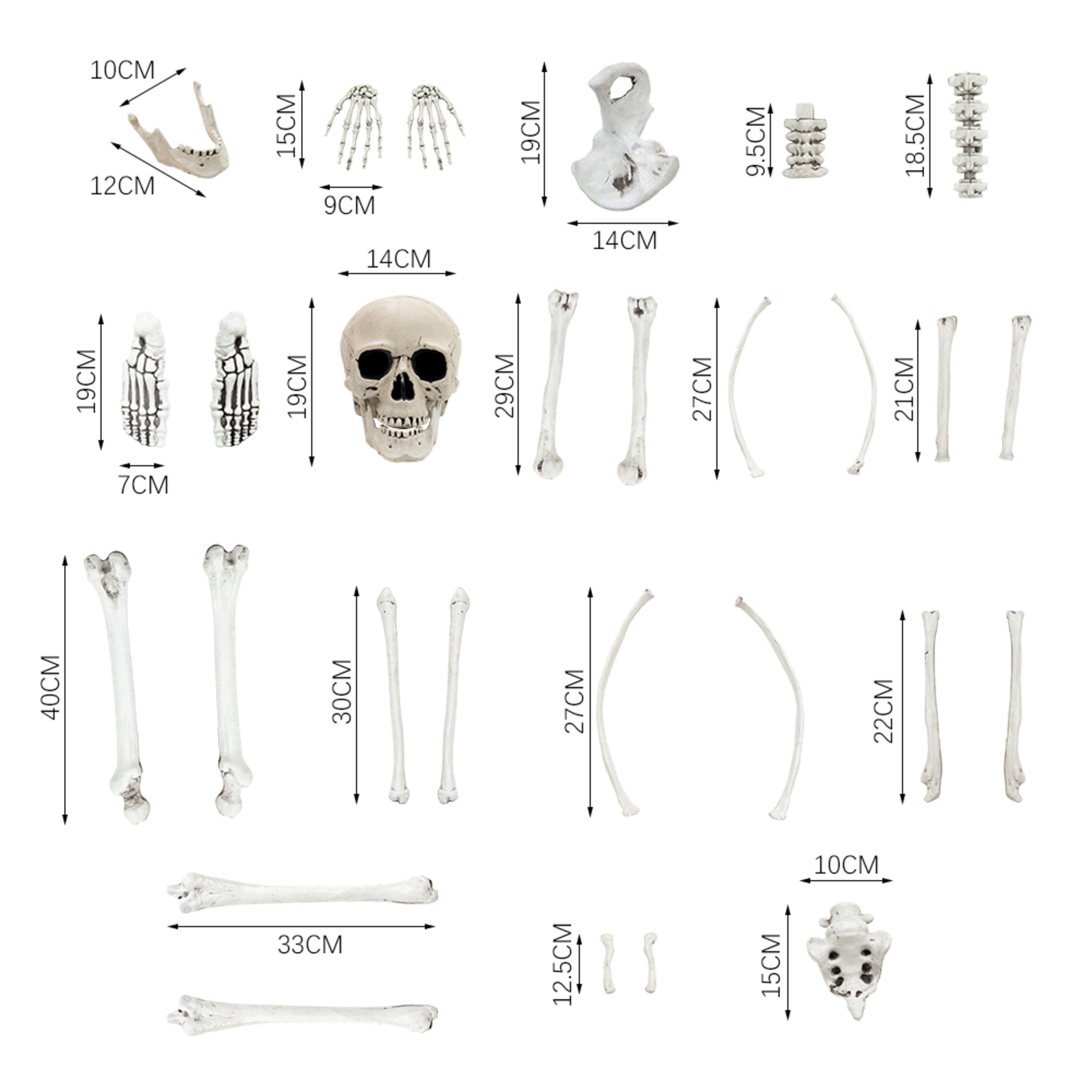 White - LIFE IDEAS - Realistic Skull and Bone Skeleton Decoration Kit - 12