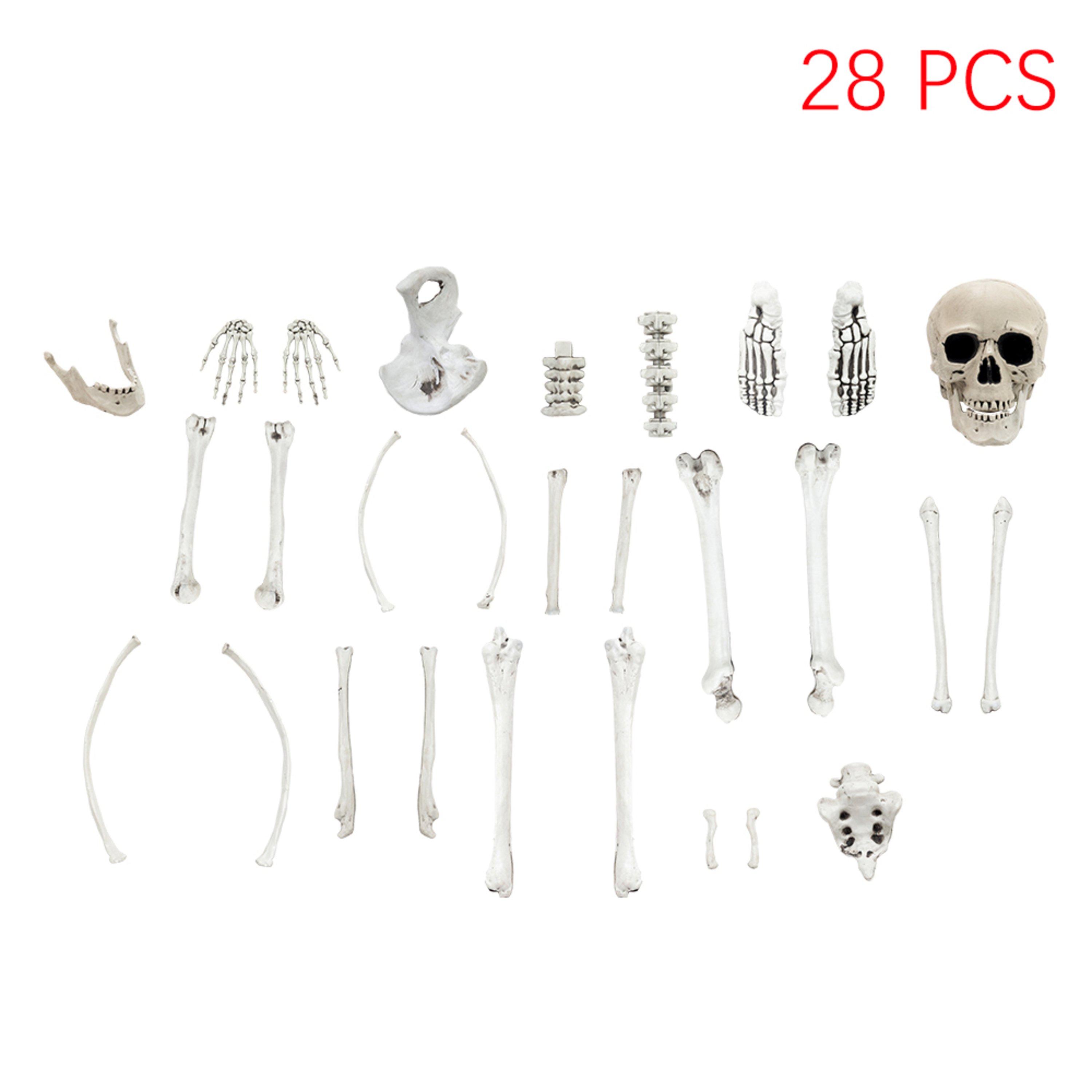 White - LIFE IDEAS - Realistic Skull and Bone Skeleton Decoration Kit - 3