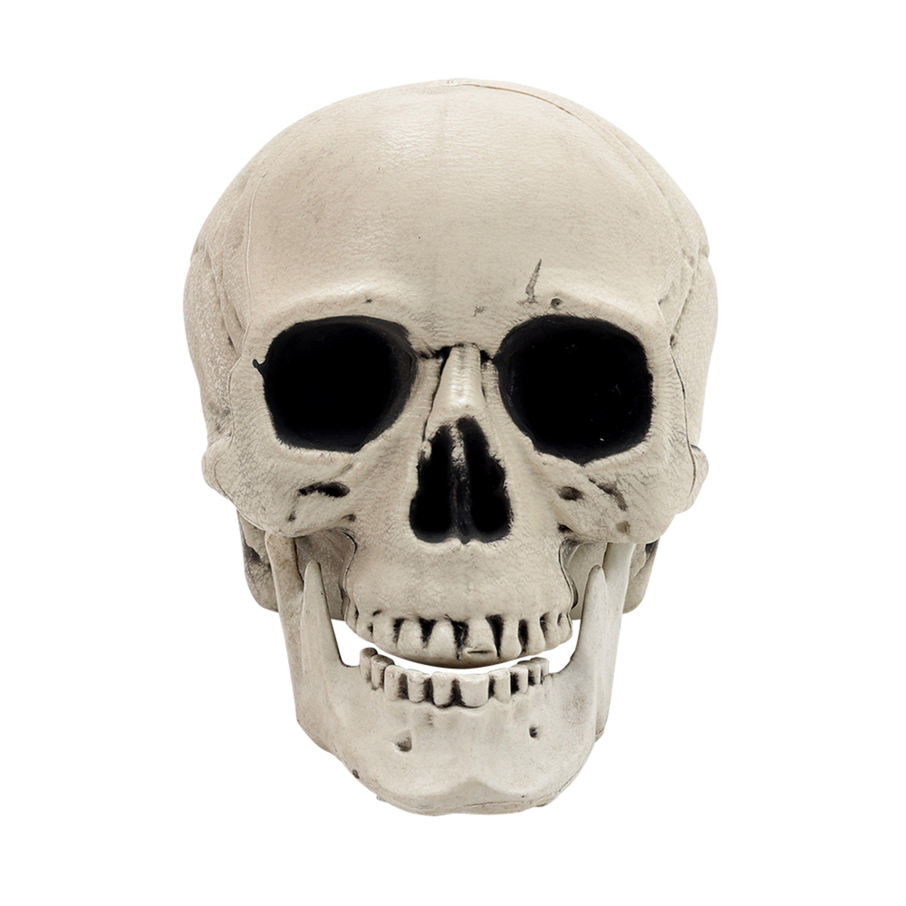 White - LIFE IDEAS - Realistic Skull and Bone Skeleton Decoration Kit - 4