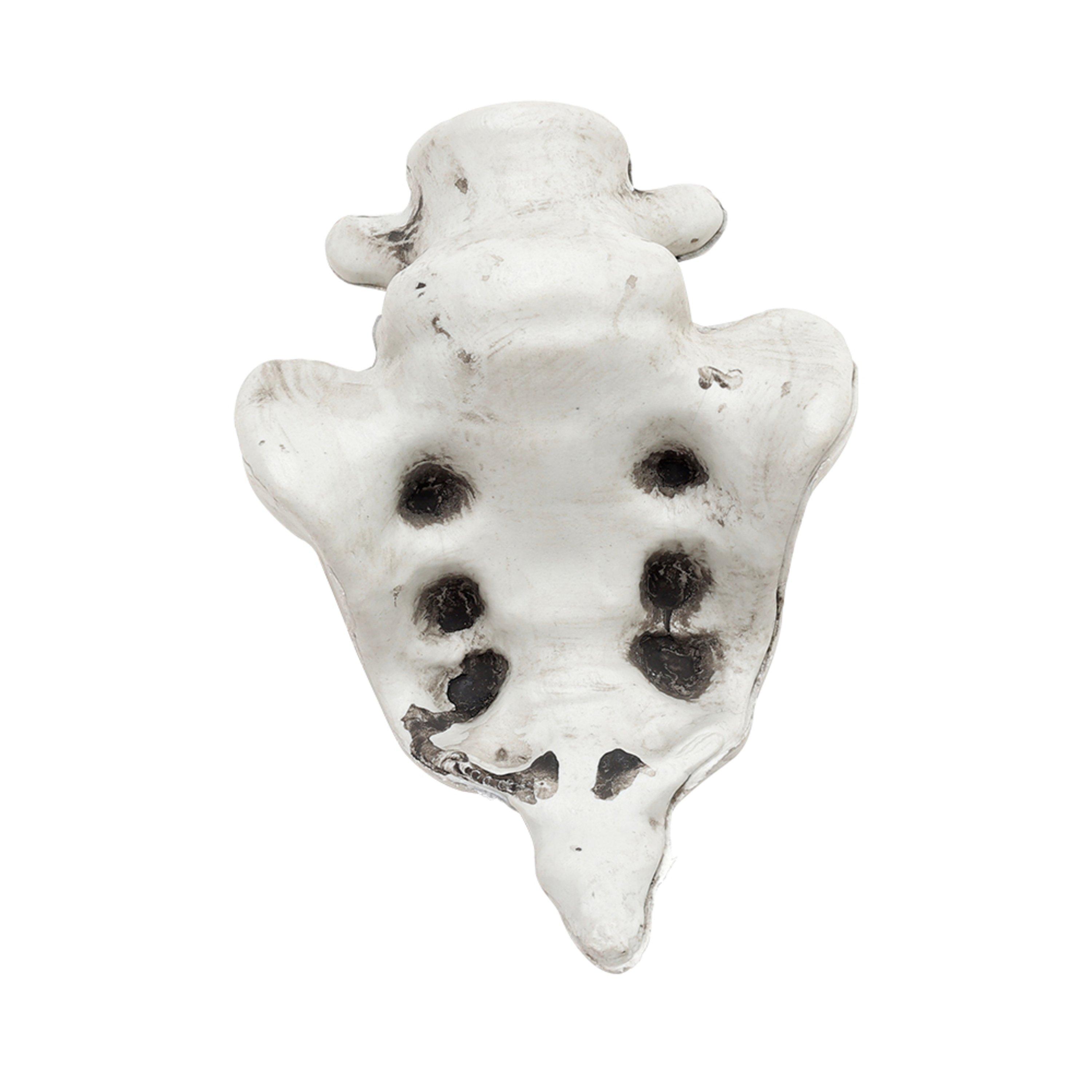 White - LIFE IDEAS - Realistic Skull and Bone Skeleton Decoration Kit - 10