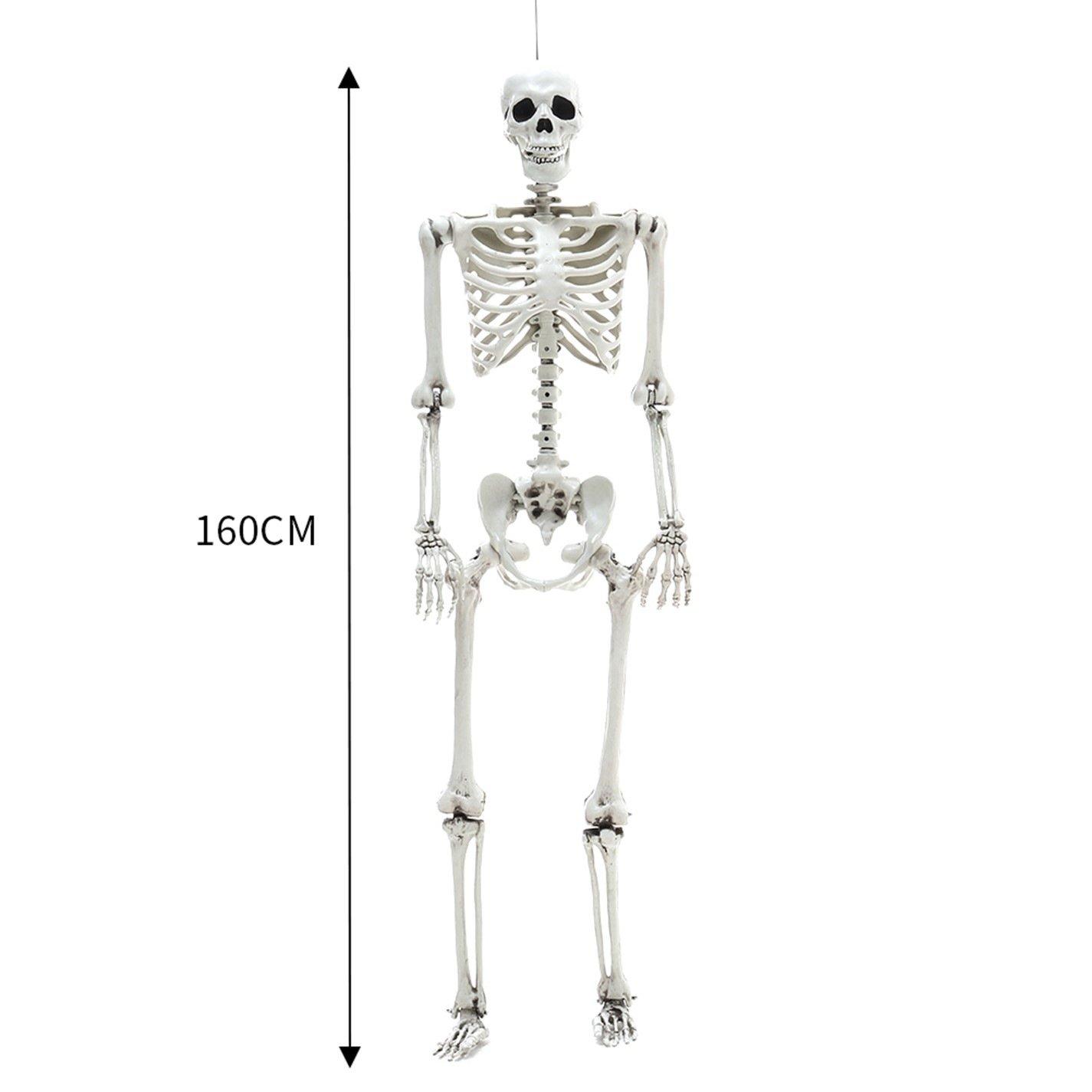 Distressed Whit - LIFE IDEAS - Realistic Skeleton Prop Decoration Posable Joints - 16