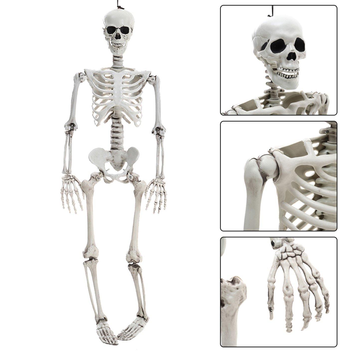 Distressed Whit - LIFE IDEAS - Realistic Skeleton Prop Decoration Posable Joints - 11