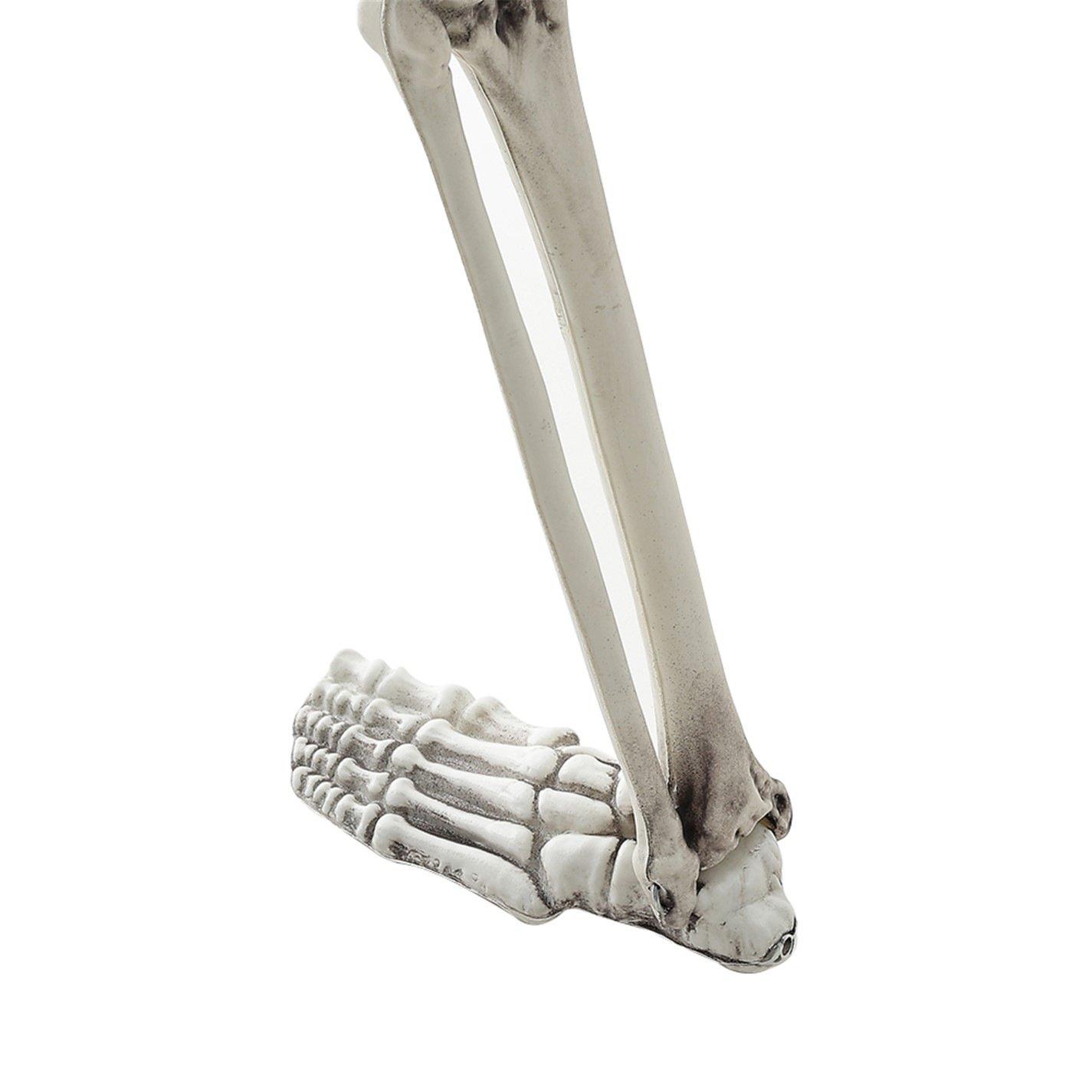 Distressed Whit - LIFE IDEAS - Realistic Skeleton Prop Decoration Posable Joints - 14