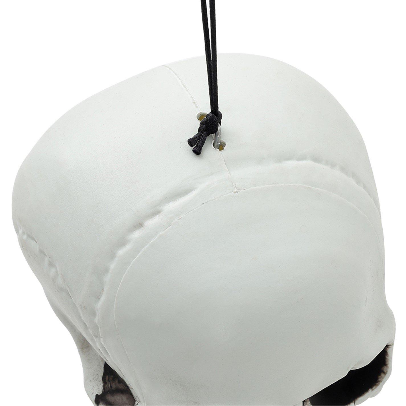 Distressed Whit - LIFE IDEAS - Realistic Skeleton Prop Decoration Posable Joints - 8