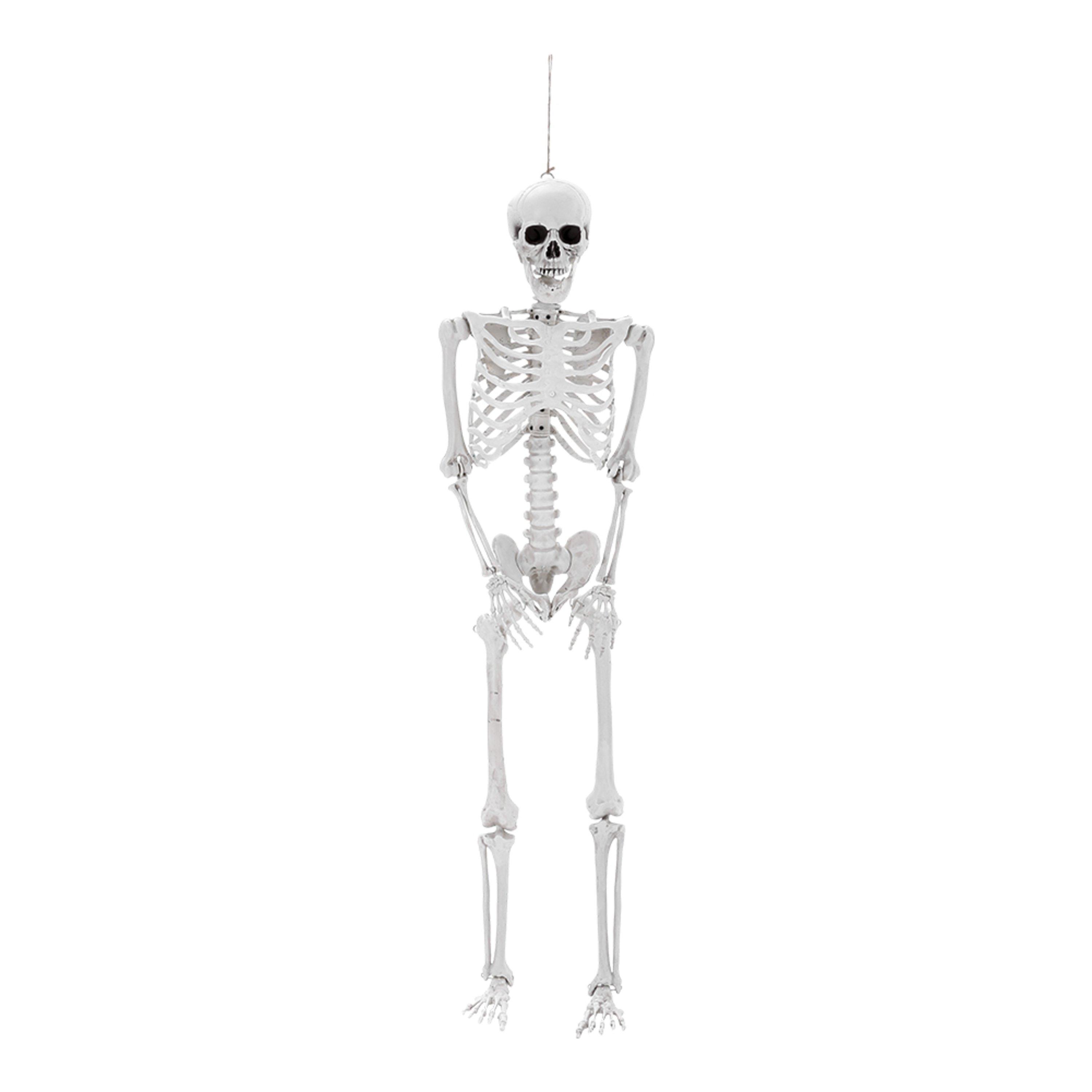 Distressed Whit - LIFE IDEAS - Skeleton Props for Halloween Party Decoration - 1