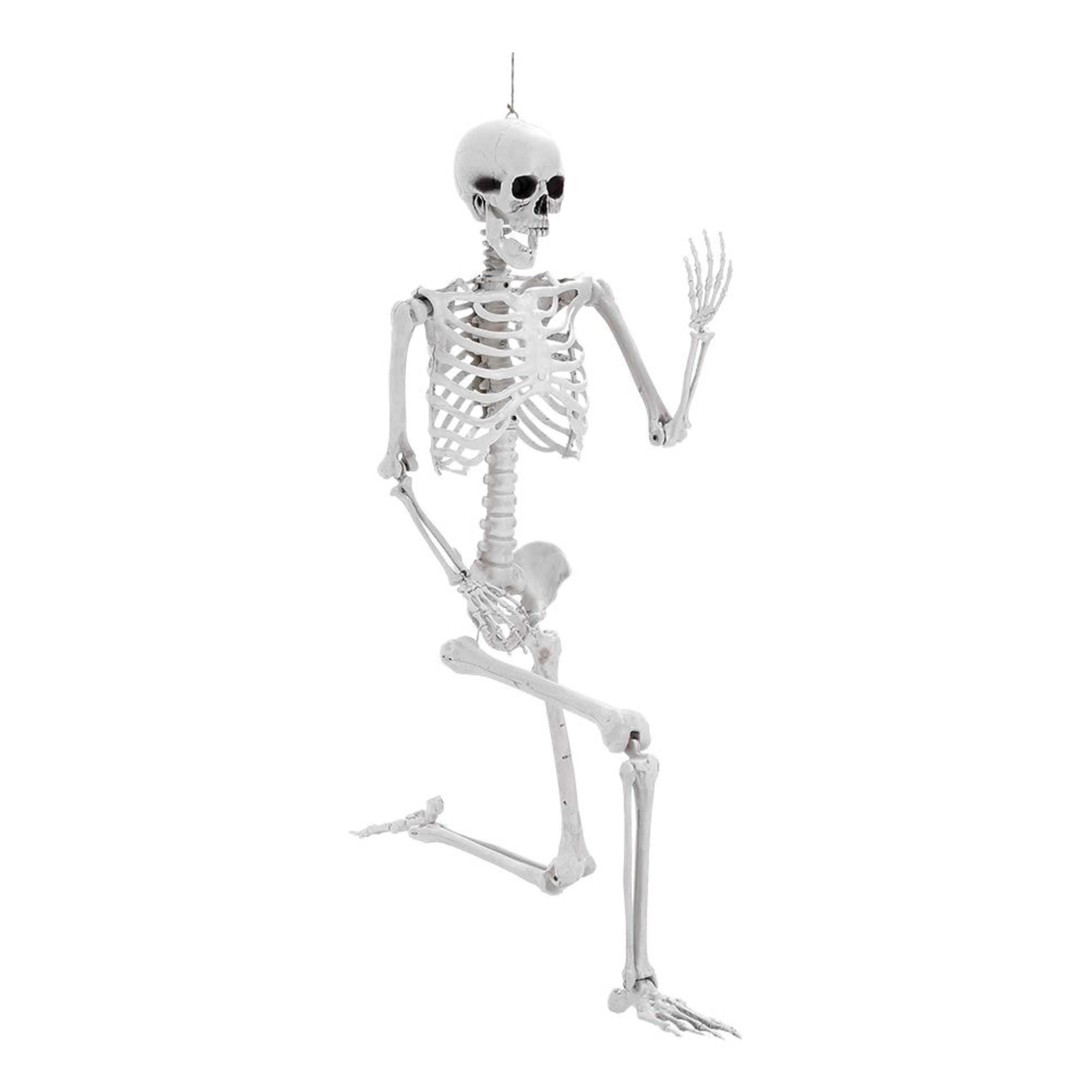 Distressed Whit - LIFE IDEAS - Skeleton Props for Halloween Party Decoration - 2