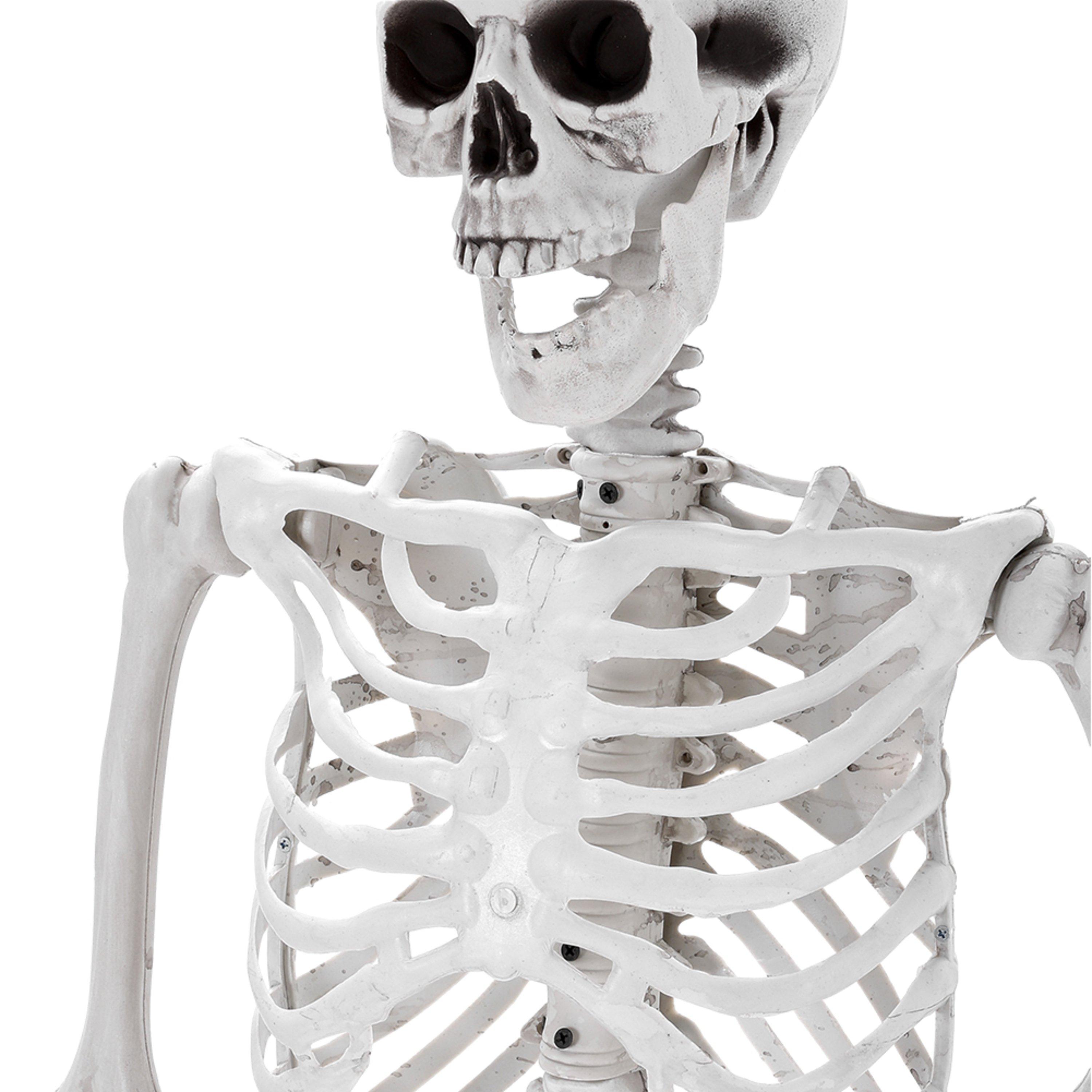 Distressed Whit - LIFE IDEAS - Skeleton Props for Halloween Party Decoration - 6