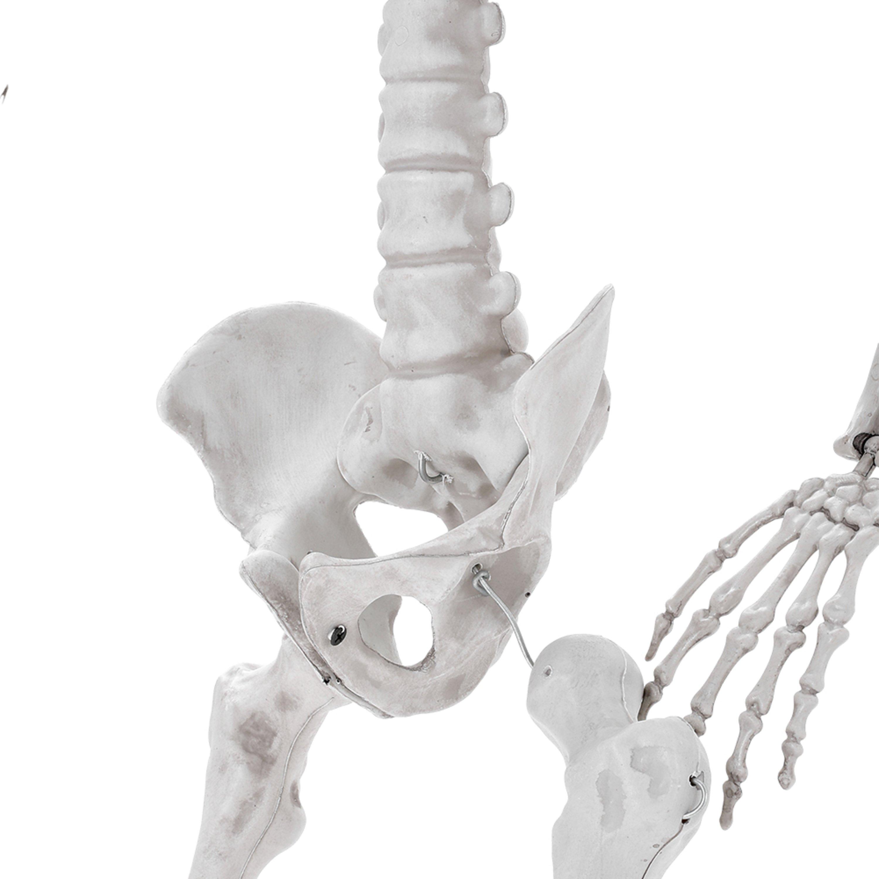 Distressed Whit - LIFE IDEAS - Skeleton Props for Halloween Party Decoration - 9