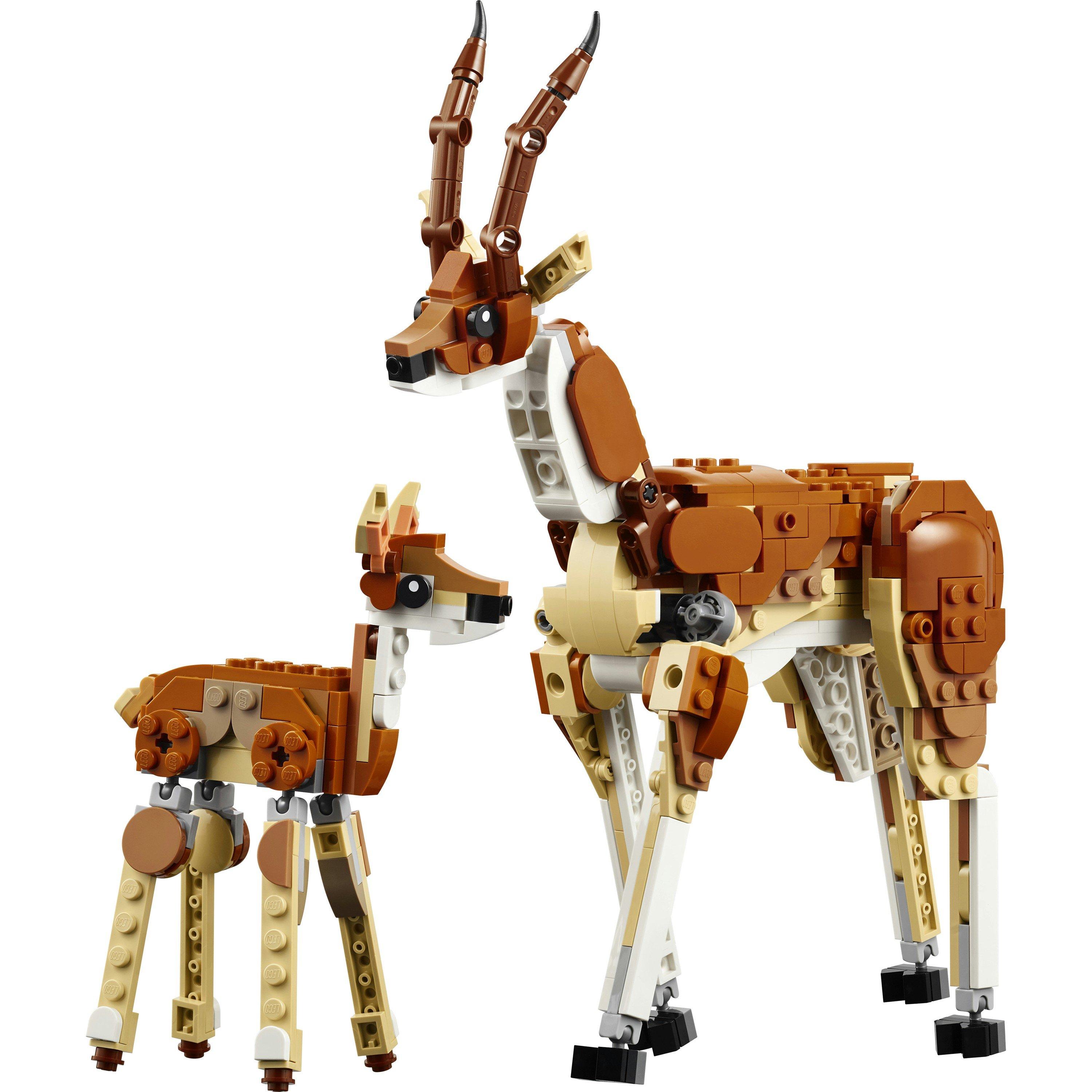 Multi Format An - LEGO - 31150 Wild Safari Animals - 16