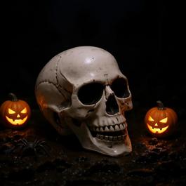 LIFE IDEAS Realistic Plastic Skull Tabletop Decoration