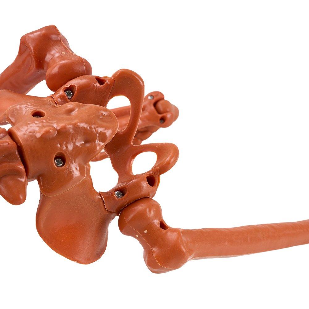 Orange - LIFE IDEAS - 93cm Posable Halloween Pumpkin Skeleton Decoration - 6