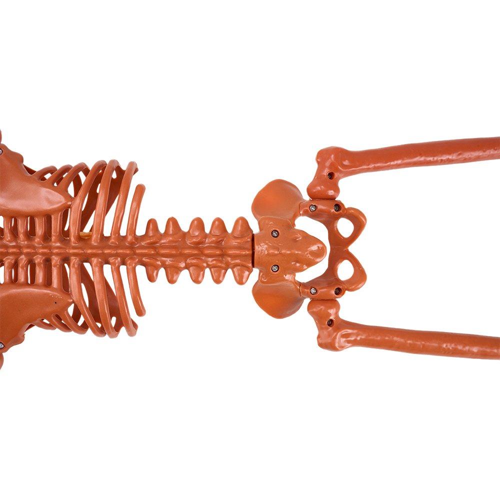 Orange - LIFE IDEAS - 93cm Posable Halloween Pumpkin Skeleton Decoration - 7