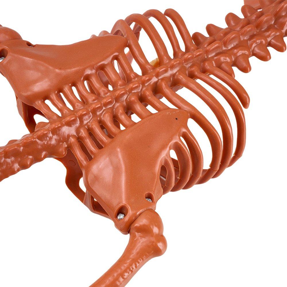 Orange - LIFE IDEAS - 93cm Posable Halloween Pumpkin Skeleton Decoration - 8