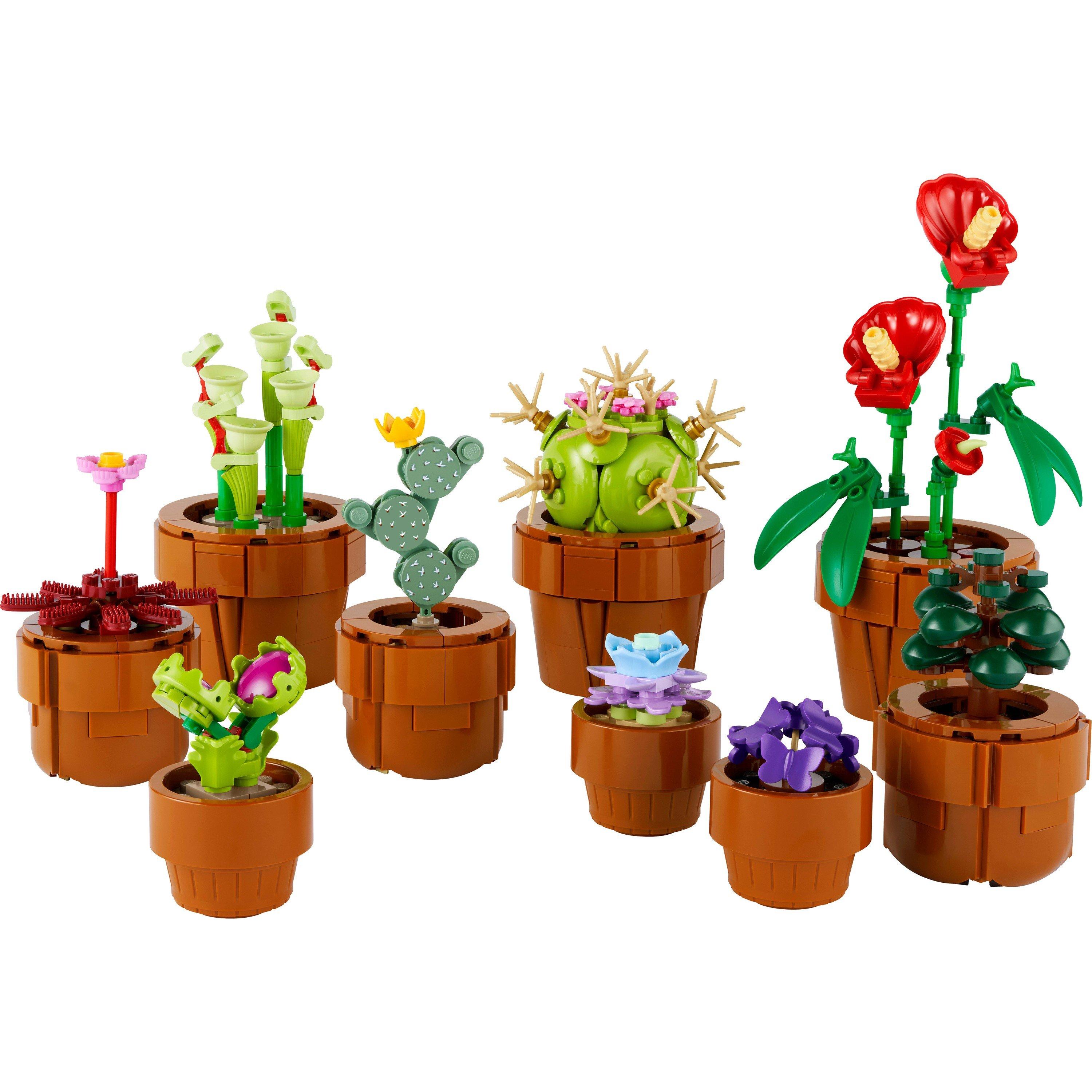 Pflanzen - LEGO - LEGO Botanical Collection 10329 Tiny Plants - 5
