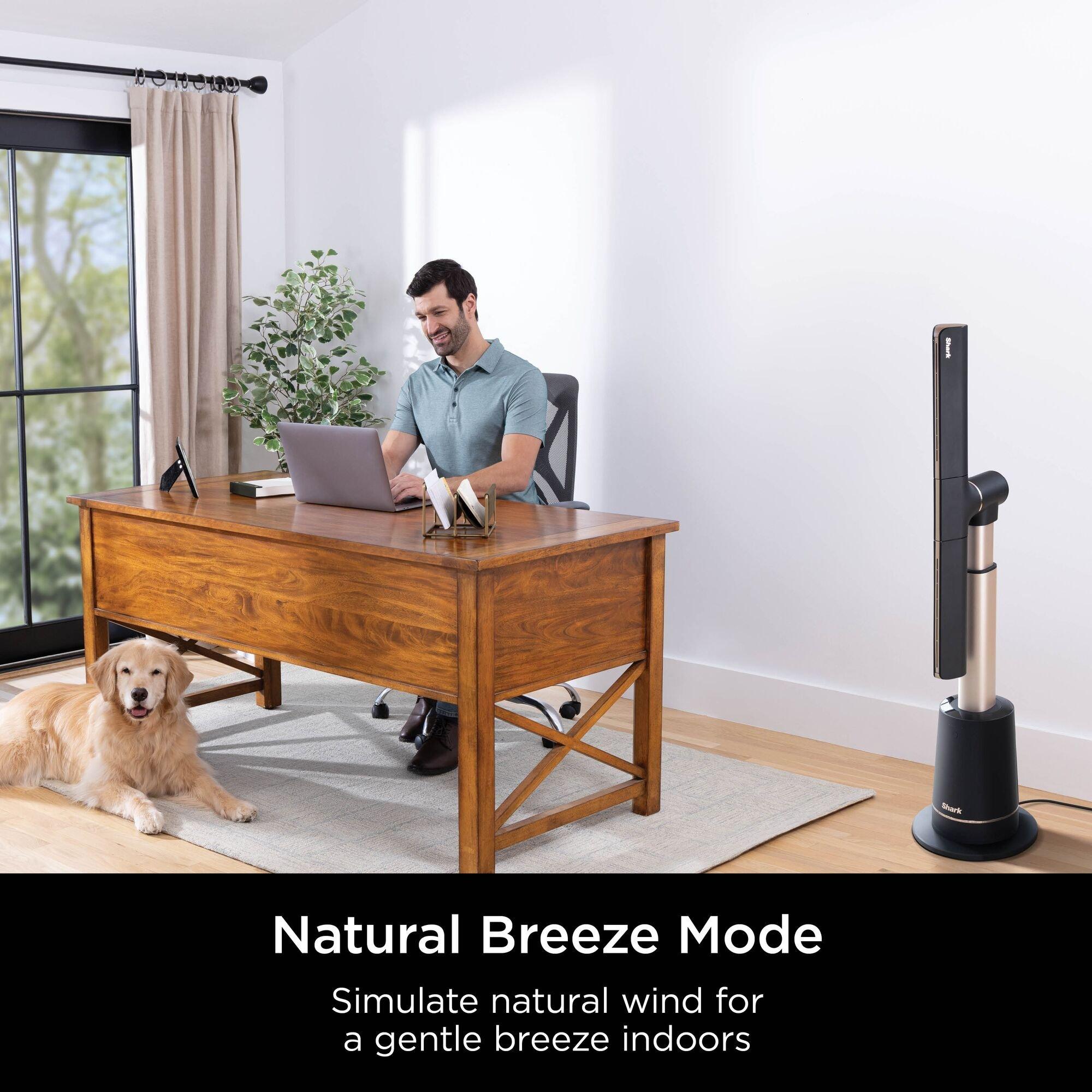 Charcoal & Beat - Shark - TurboBlade Multi-Directional Cooling Fan TF200SUK - 7