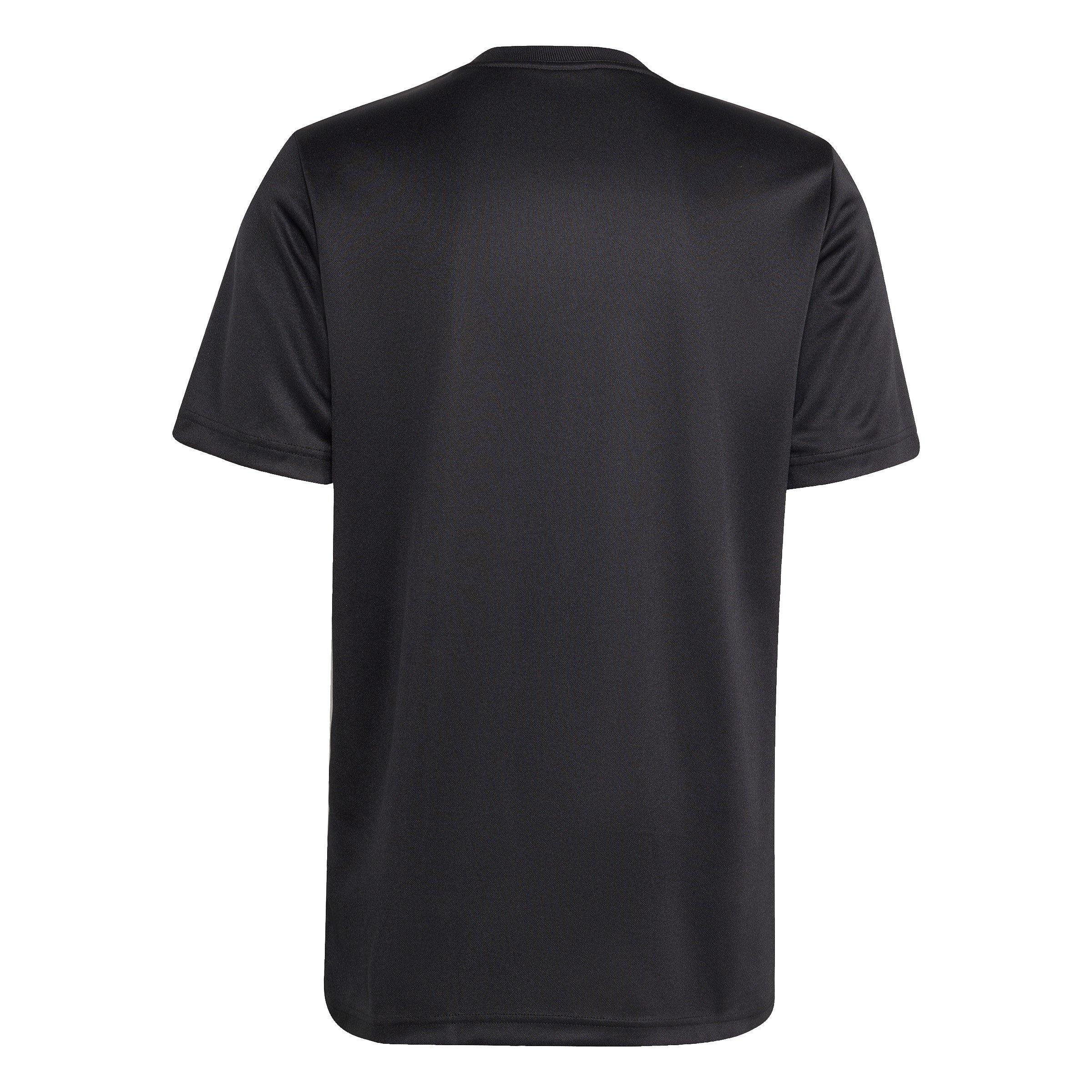 All Black - adidas - All Blacks Supporter T-Shirt 2024 Mens - 2