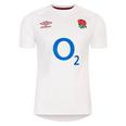 England Rugby Home shirt Gris 2024 Six Nations Adults