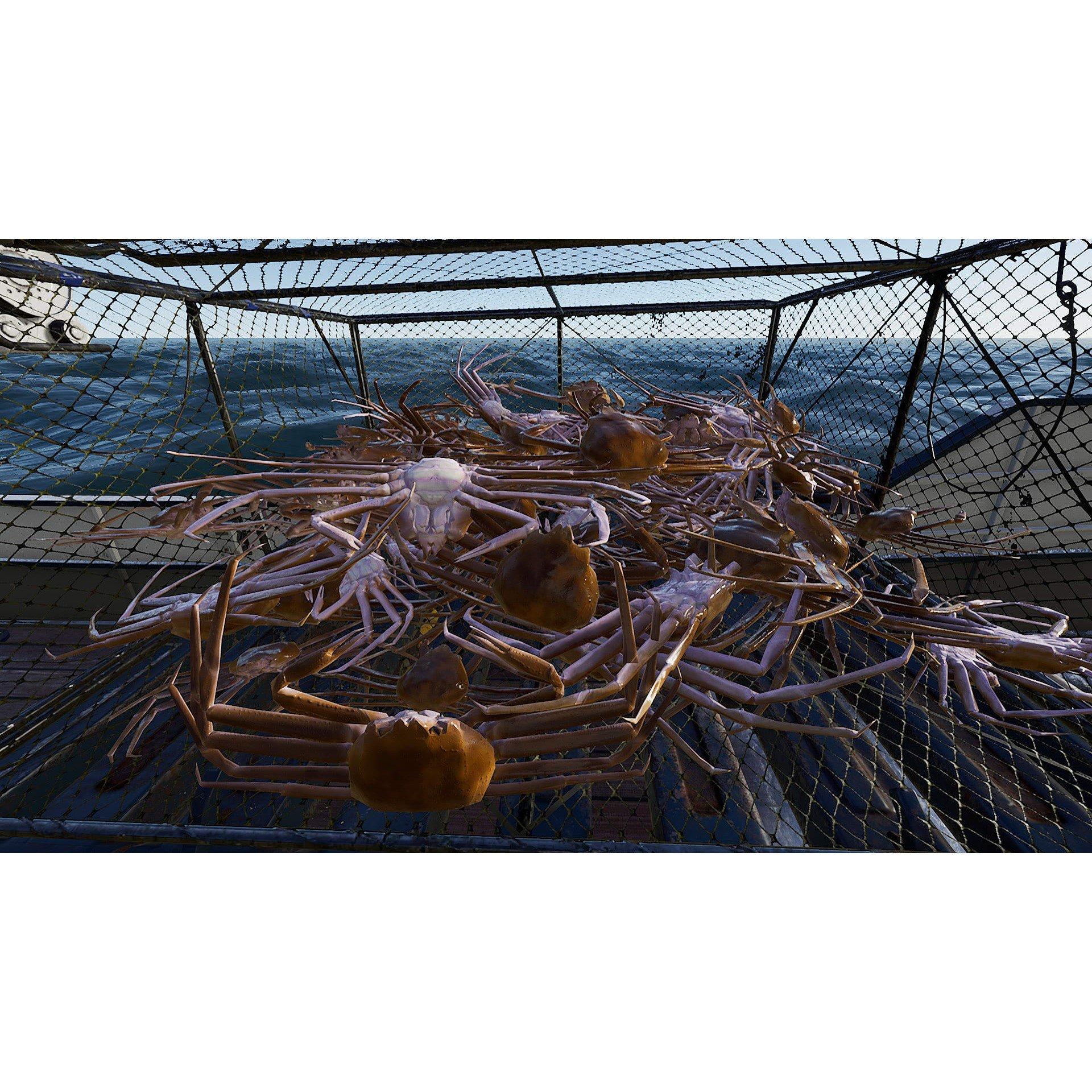 PlayStation 5 - U and I Entertainment - Fishing: North Atlantic - Complete Edition - 9