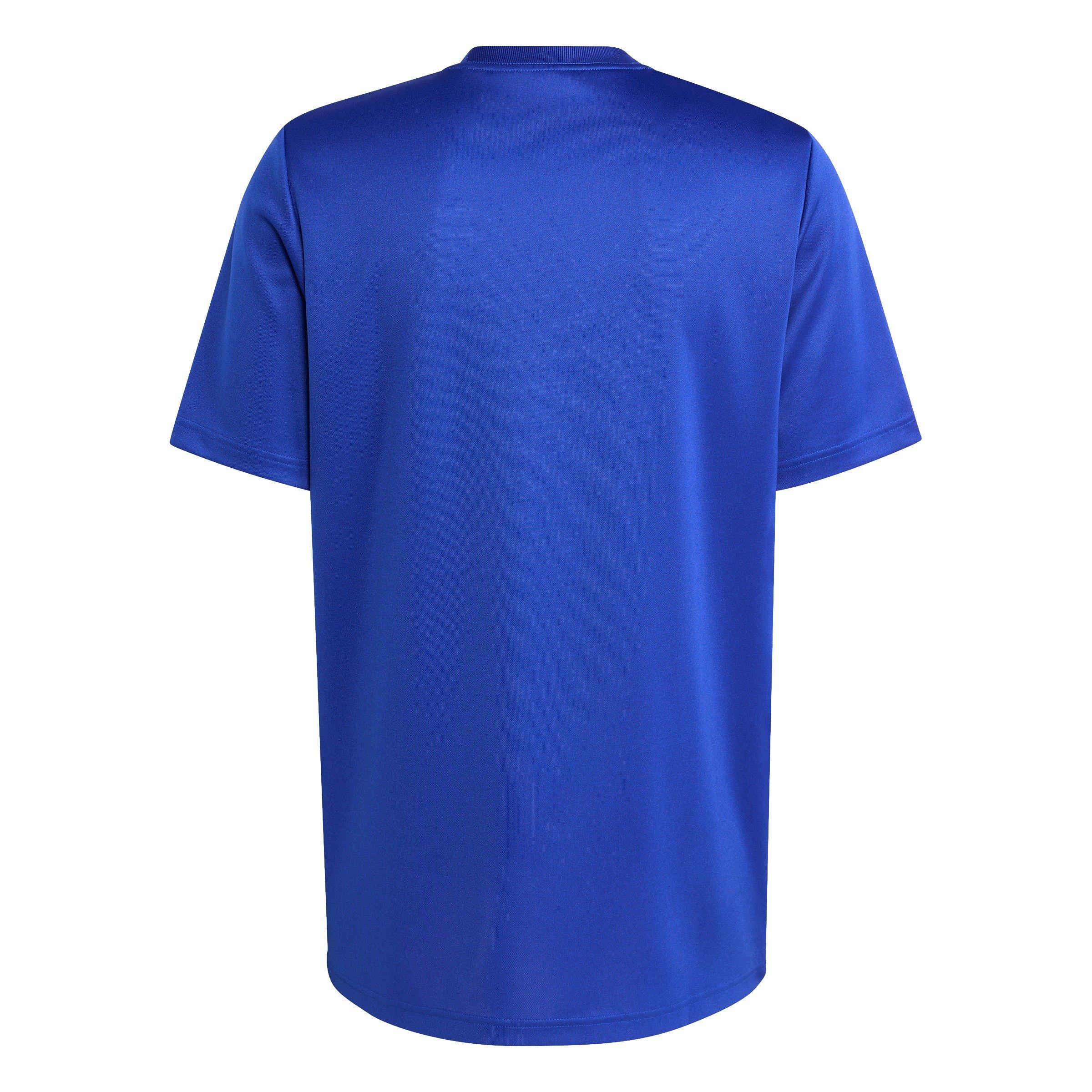 Team Ryl blau - adidas - France Rugby Supporter T-Shirt 2025 Adults - 2