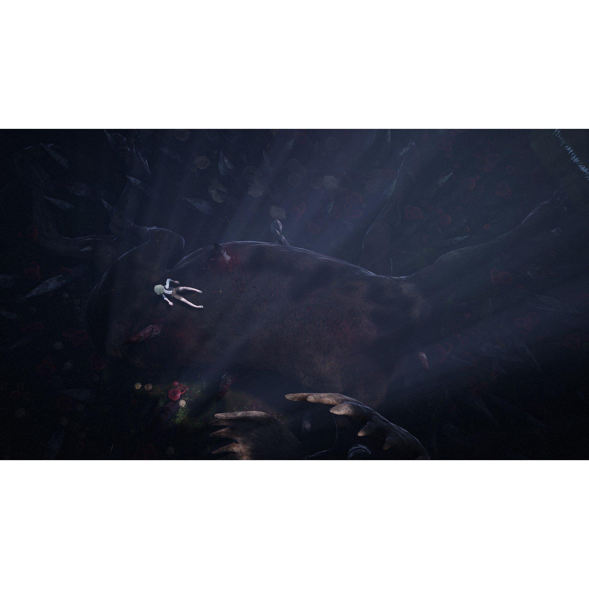 Xbox Serie - Maximum Games - Bramble: The Mountain King - 9