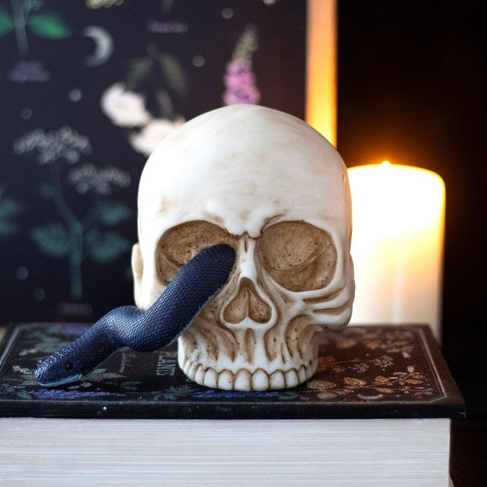 Cream - Something Different - Skull Ornament with Snake - 1