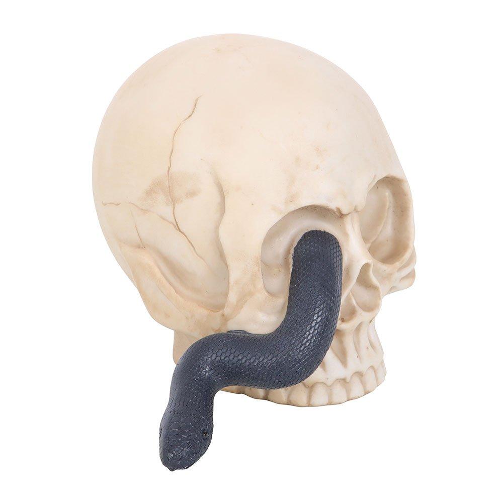 Cream - Something Different - Skull Ornament with Snake - 2