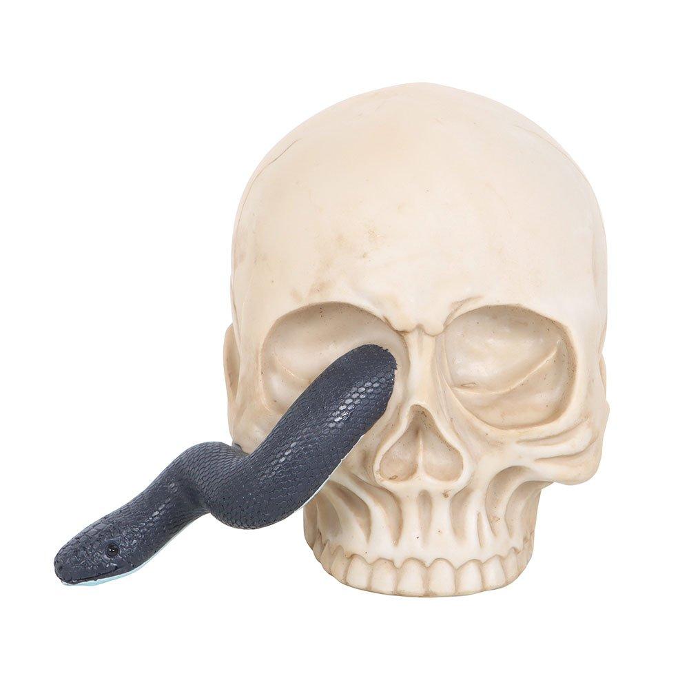 Cream - Something Different - Skull Ornament with Snake - 3