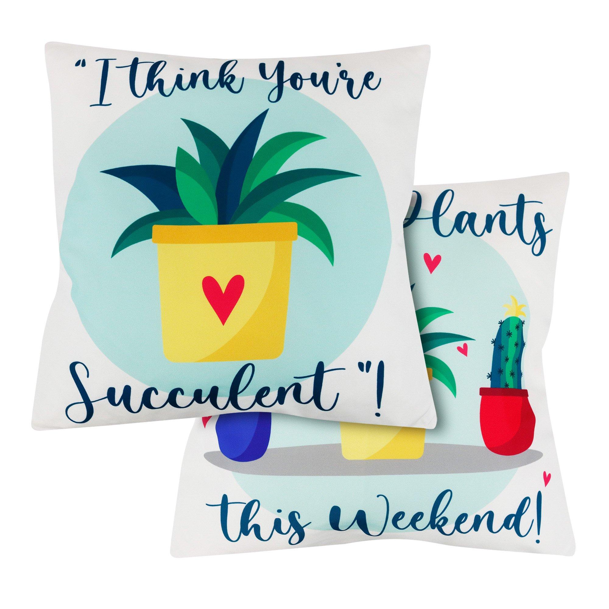 Streetwize Outdoor Succulent  Scatter Cushions