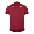 Wales 23/24 Rugby Travel Polo