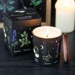 Something Different Deadly Nightshade Scented Candle