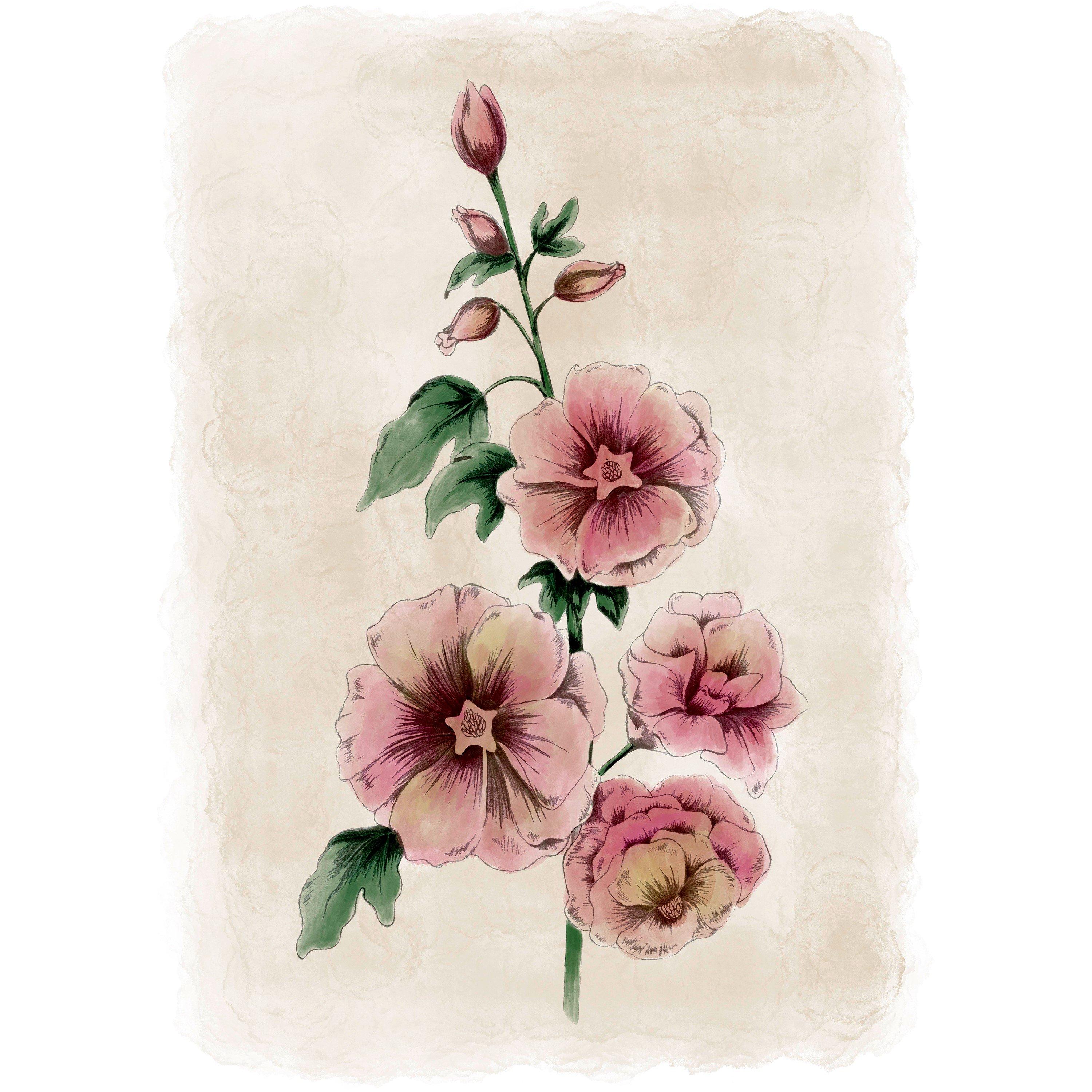 Red - Laura Ashley - Hollyhocks Flower Print in a Black Frame - 3