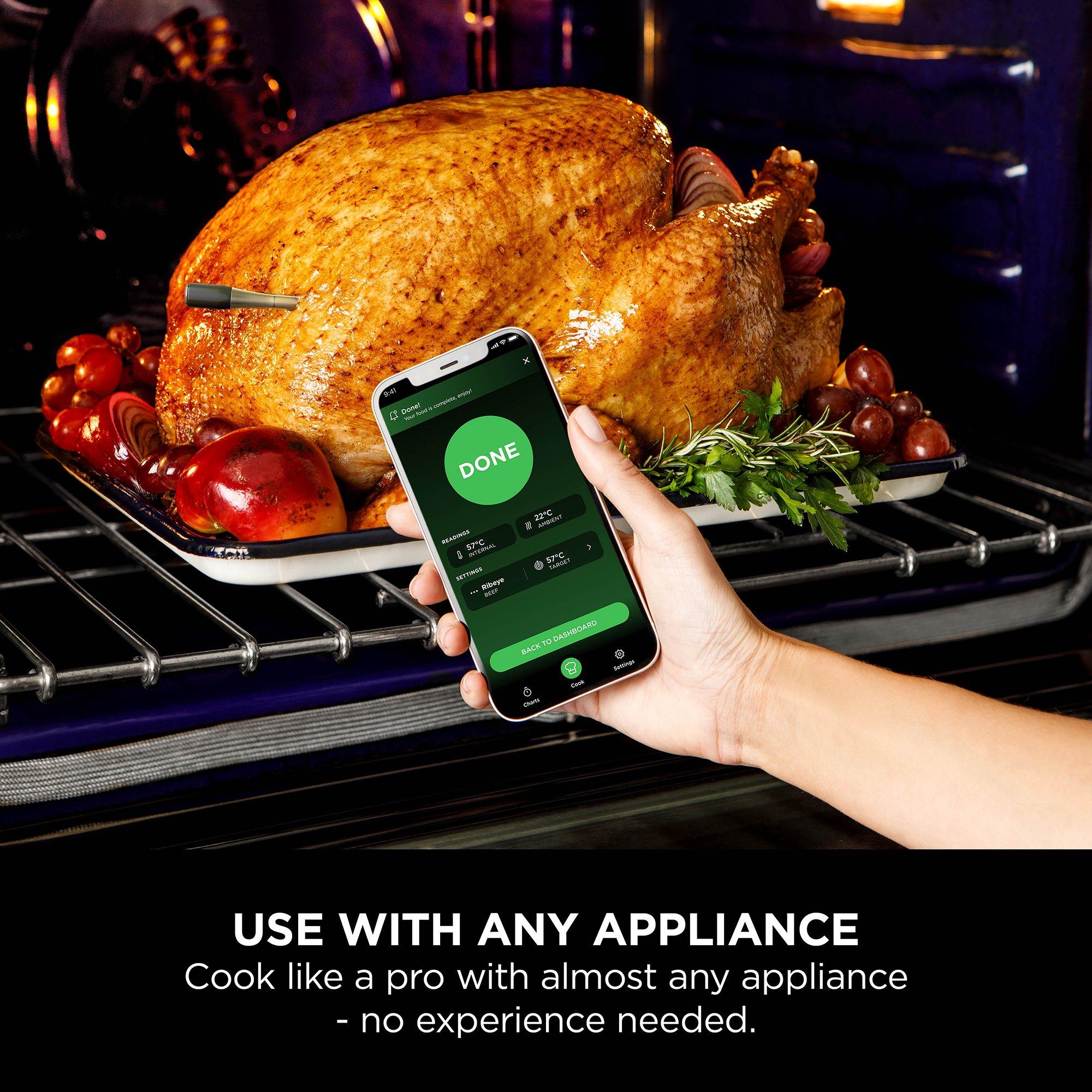 Black/Silver - Ninja - Wireless Probe WP100EU - 2