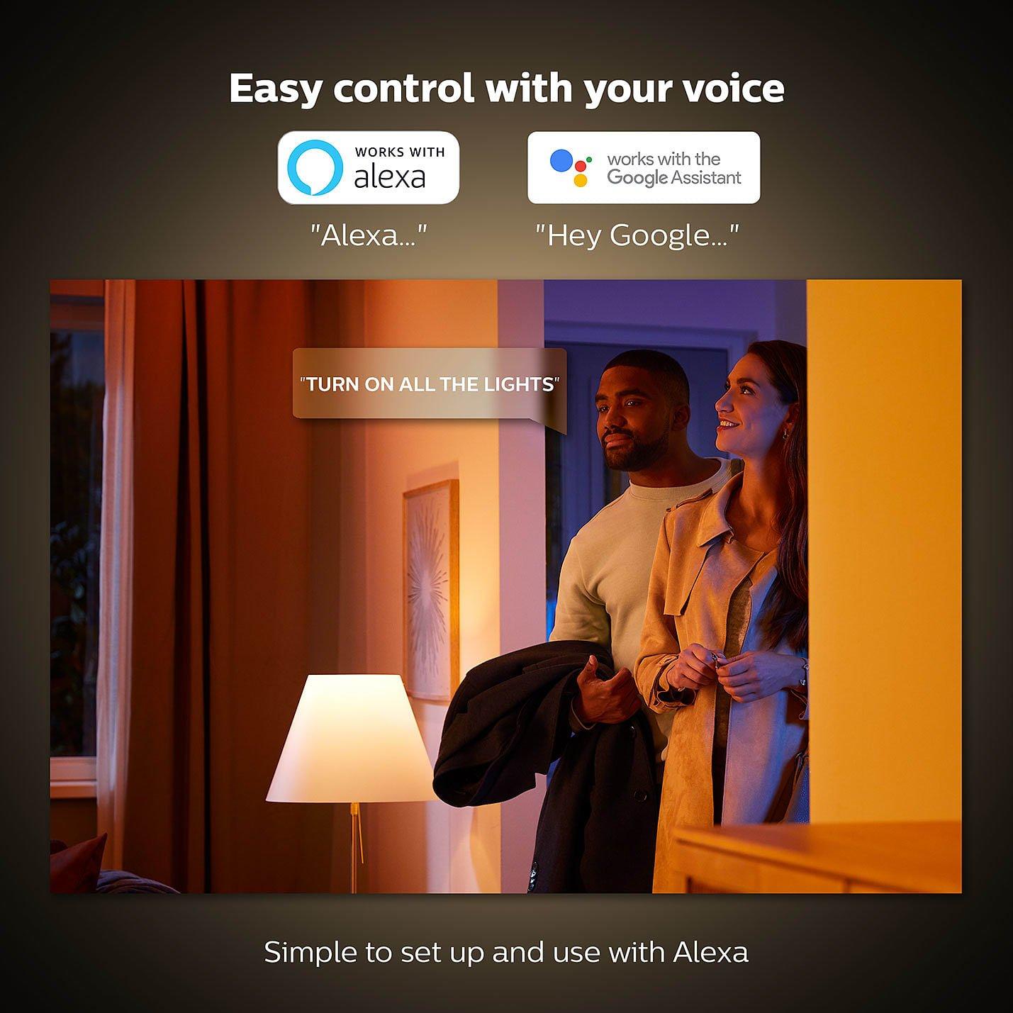 Branco - Philips Hue - GO Portable light 12V - 7