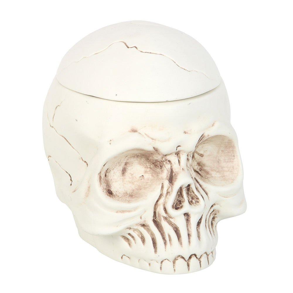 Cream - Something Different - Weathered Skull Oil Burner and Wax Warmer - 3