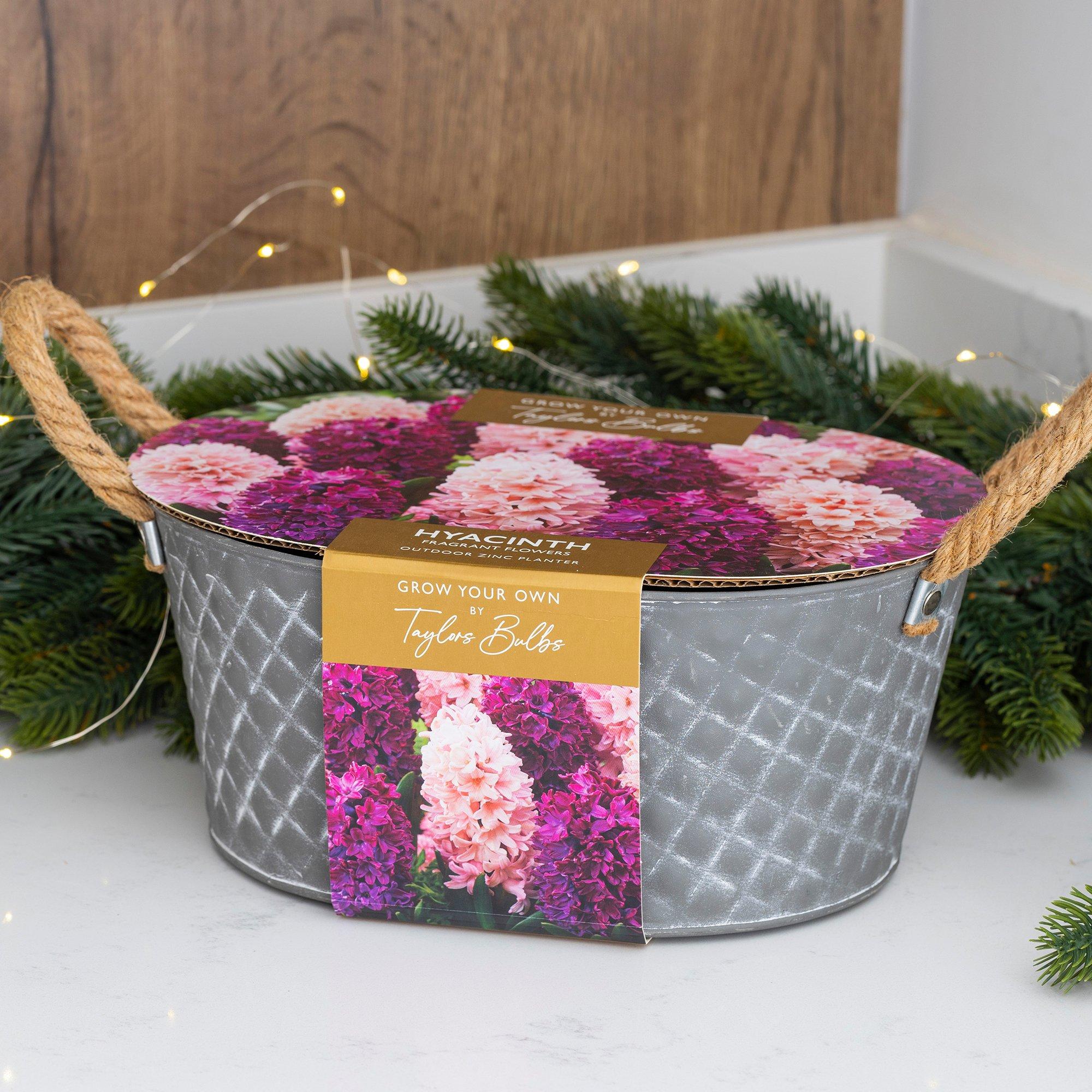 Multi - YouGarden - Outdoor Metal Trough Hyacinth EB163 - 1