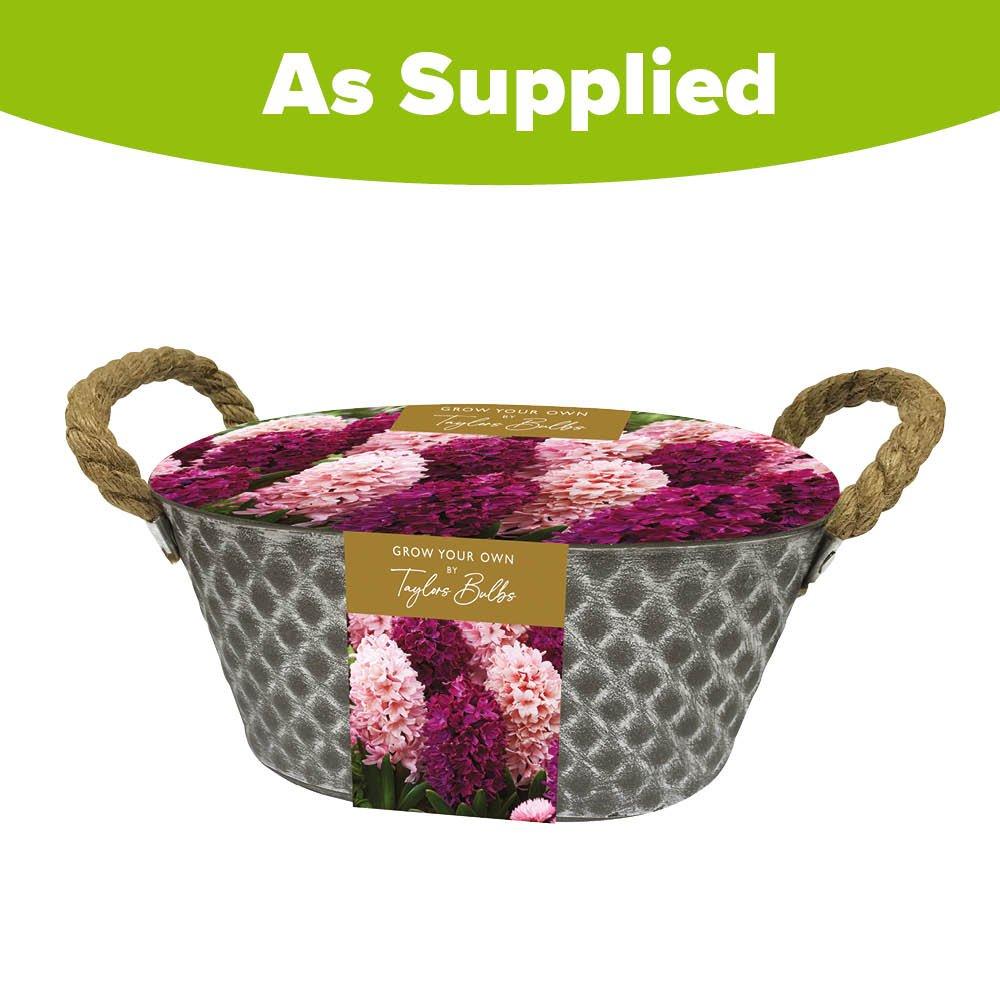 Multi - YouGarden - Outdoor Metal Trough Hyacinth EB163 - 2