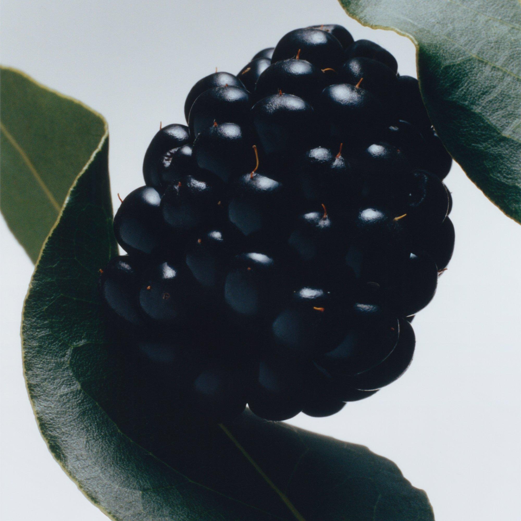 None - Jo Malone London - Blackberry & Bay Car Diffuser Refill - 3