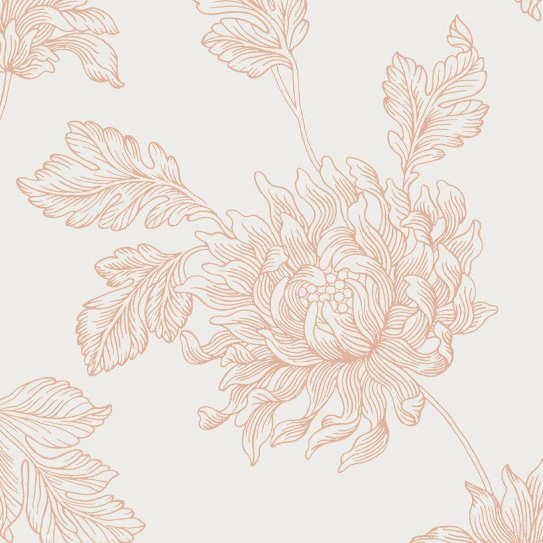 Plaster Pink - Laura Ashley - Stratton Plaster Pink Wallpaper - 5