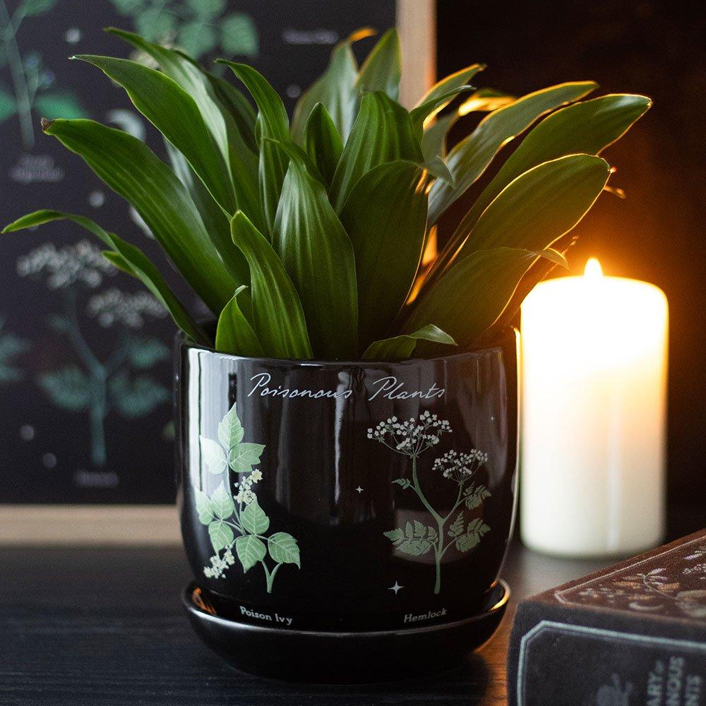 Something Different  Poisonous Plants Plant Pot - Black