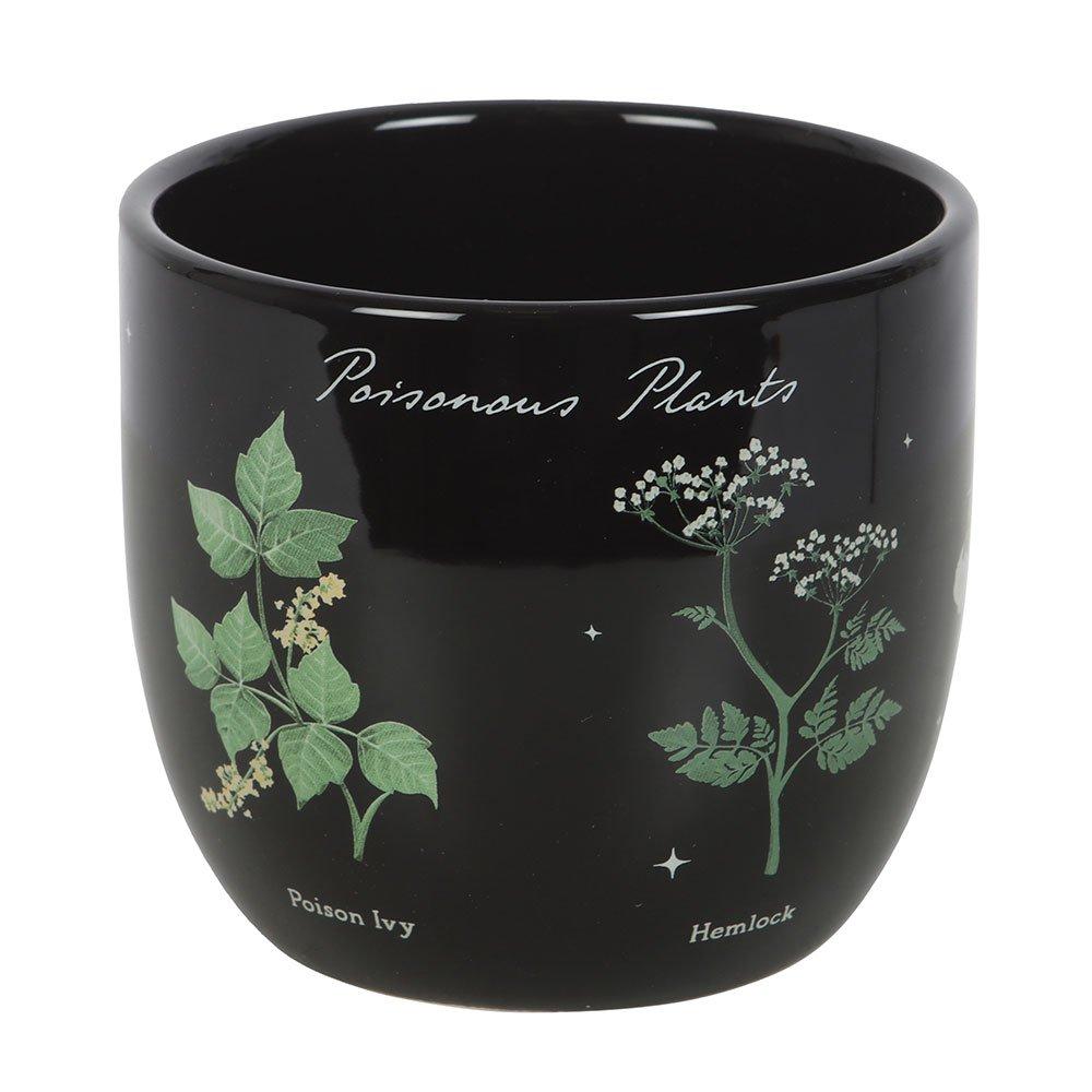Black - Something Different - Poisonous Plants Plant Pot - 2