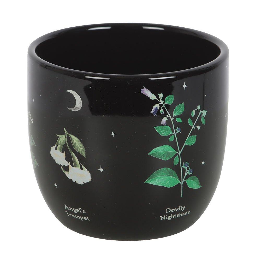 Black - Something Different - Poisonous Plants Plant Pot - 4